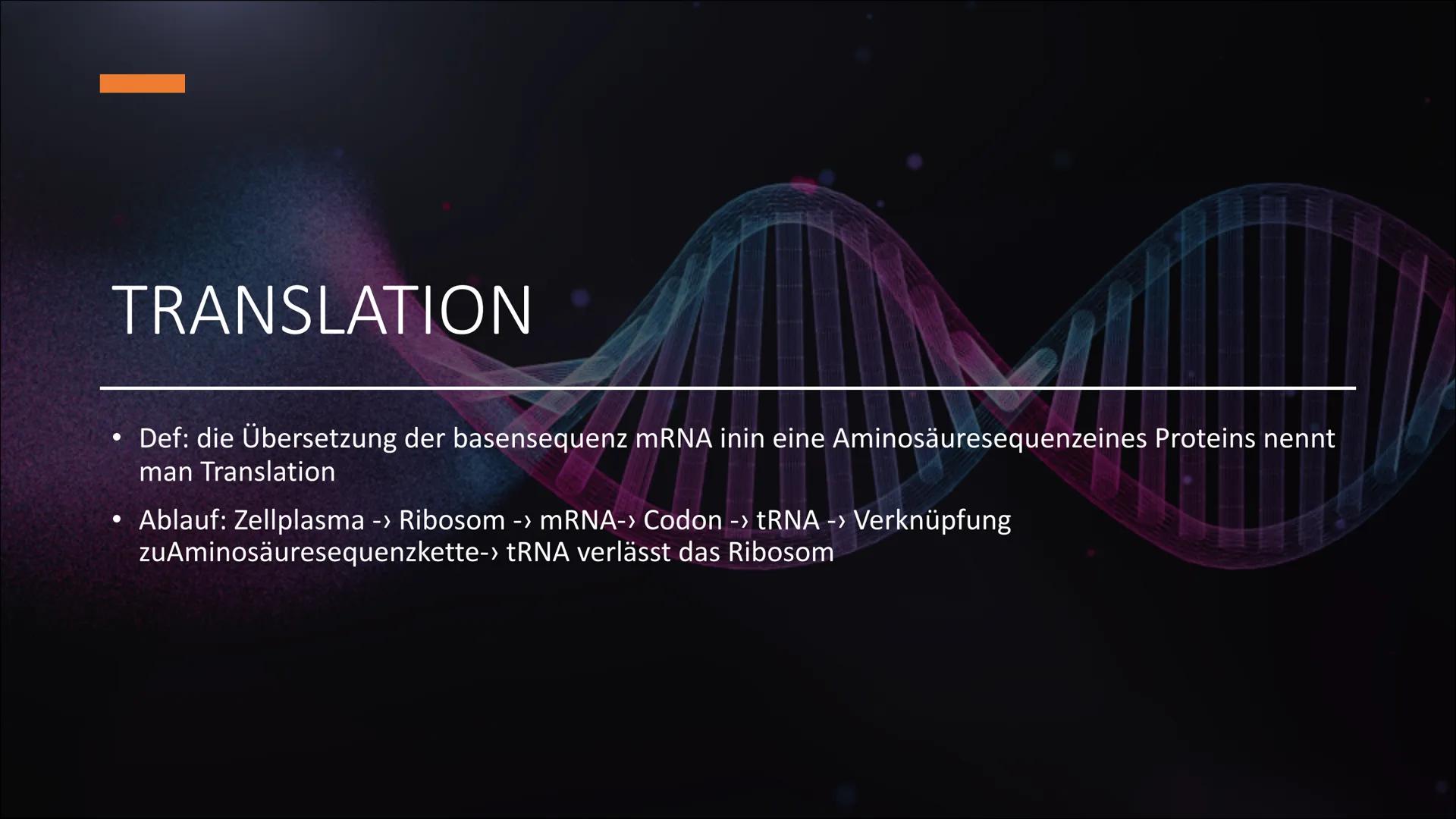 # Die DNA
xxx # Wichtige Begriffe
• DNA: „Desoxyribonukleinsäure“
• Gen: Abschnitt auf DNA (enthält Grundinformation für RNA)
• Genom: Ges