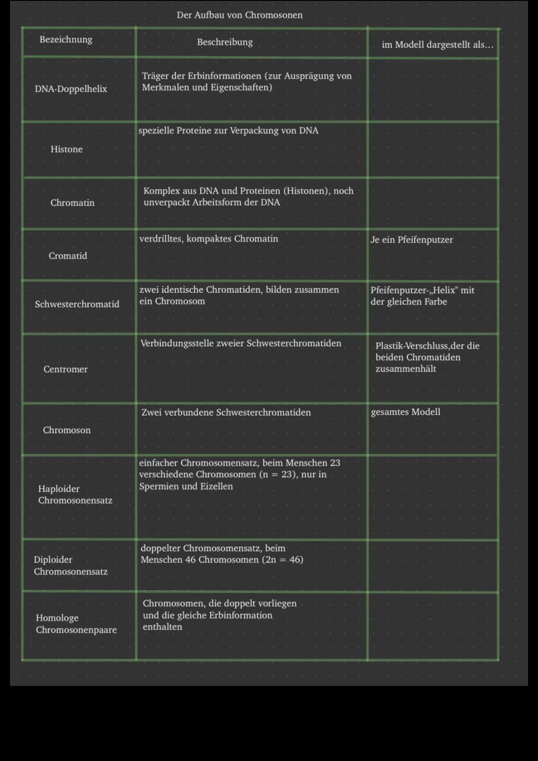 Der Aufbau von Chromosomen