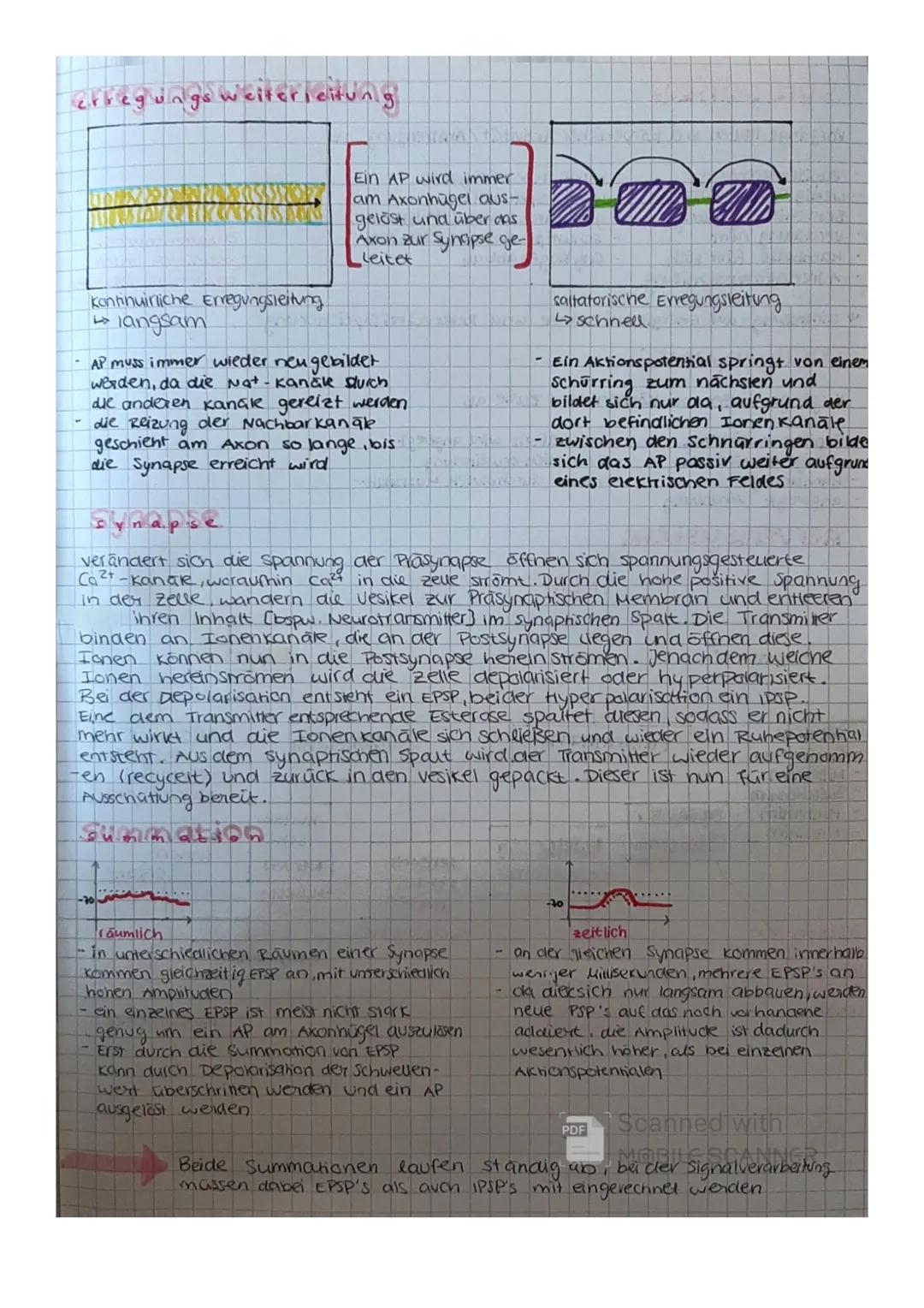 # neuron aufbau
DENDRITEN- hier kommt der Reiz an, diese werden ins Soma weiter-
geleitet
SOMA- die Zeute wird am leben gehalten
AXON über d