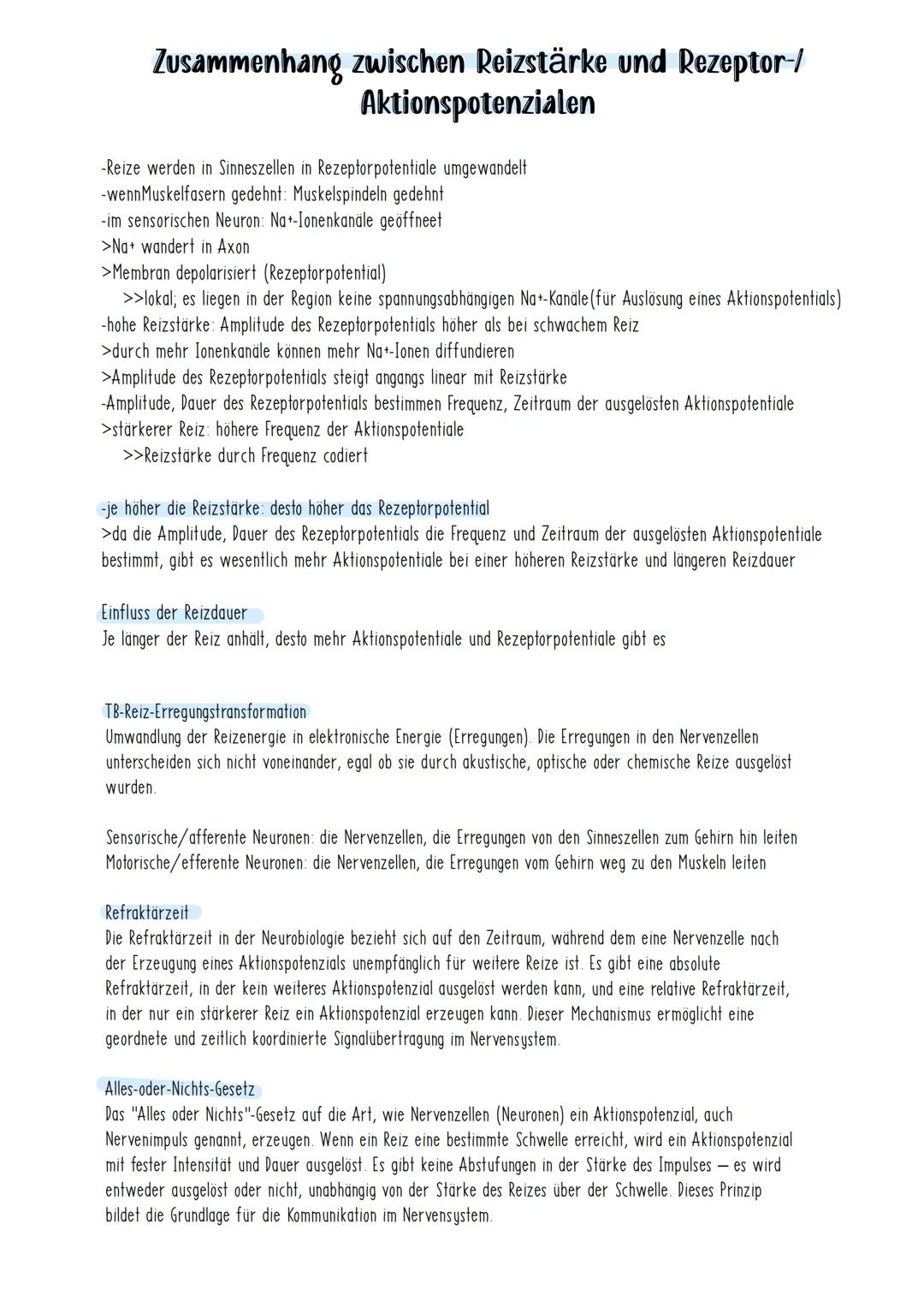 # Chemische Synapse
Calcium-lonenkanal
ca
3
prosynaptische
Hembran
①
Aktionspotenzial
2
syropisches Bläschen
mit Acetylcholin-Memora
