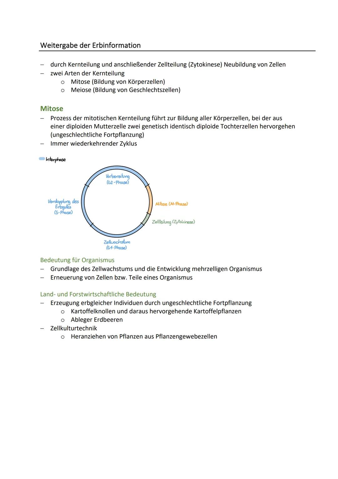 BIO KA-GENETIK
Zelluläre Grundlagen der Vererbung
Zellkern (Nucleus)
Speicher der Erbinformation und Steuerzentrale der Zelle
zwei wichtige