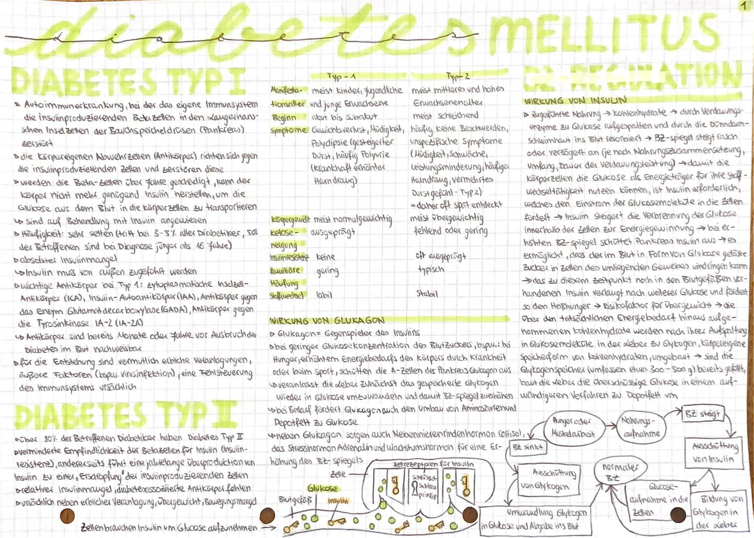 # insicies MELLITUS
b
# DIABETES TYΡΙ
- Autoimmunerkrankung, bei der das eigene Immunsystem
die insulinproduzierenden Betazellen in den La