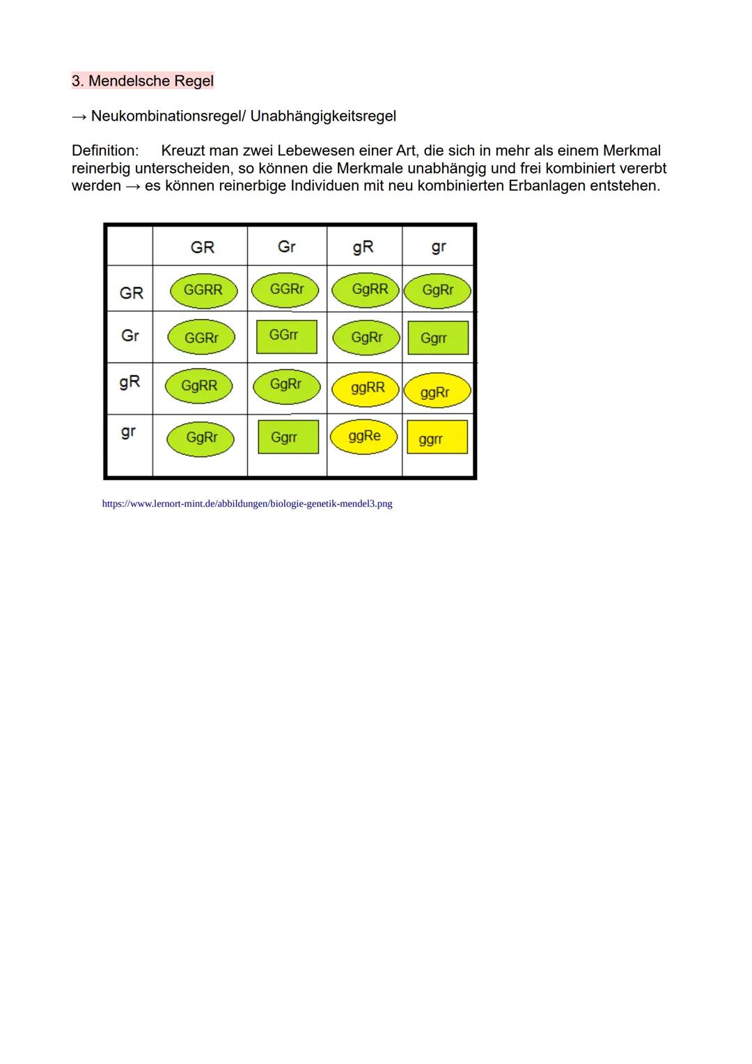 # Mendelsche Regeln
benannt nach Johann Gregor Mendel, den „Vater der Vererbungslehre"; er führte
Kreuzungsversuche an der Gartenerbse durc