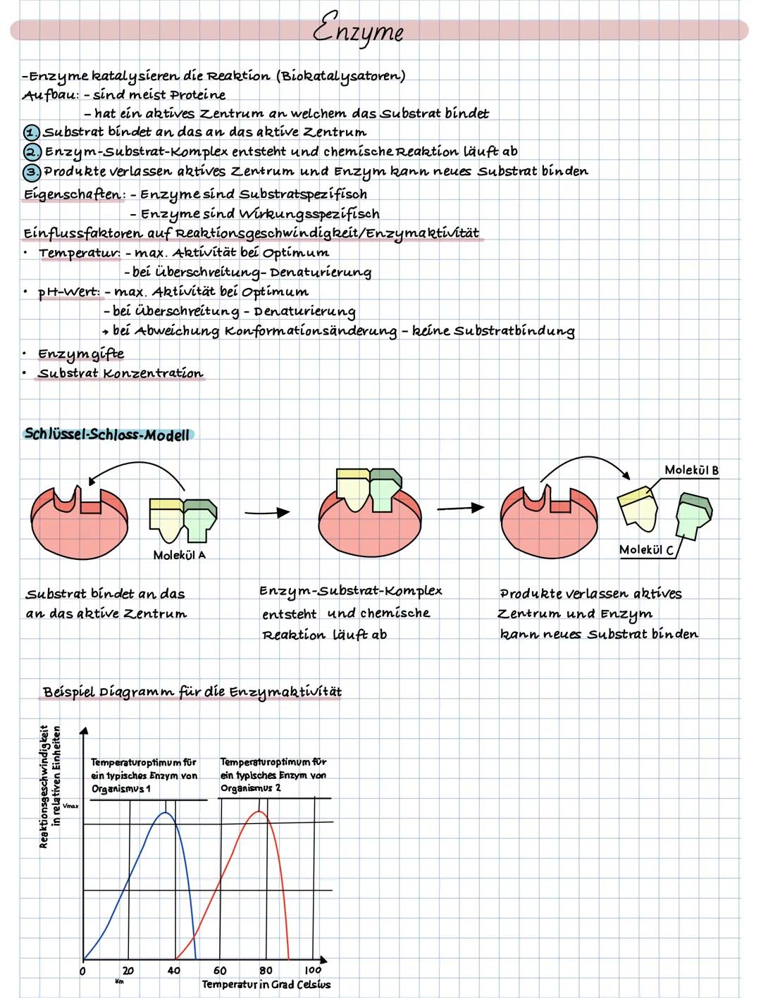 # Enzyme
-Enzyme katalysieren die Reaktion (Biokatalysatoren)
Aufoau: - sind meist Proteine
- hat ein aktives Zentrum an welchem das Subs