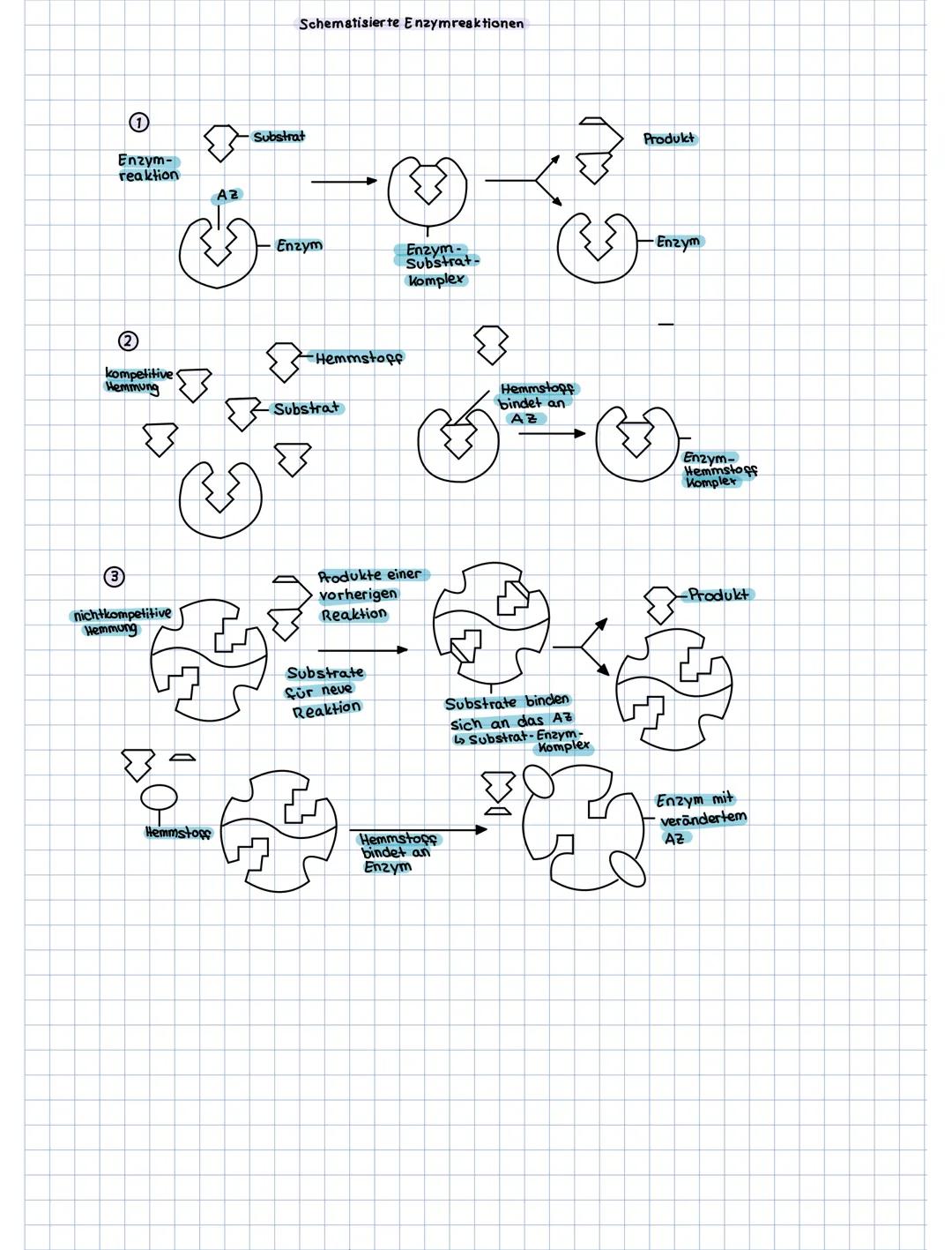 # Enzyme
-Enzyme katalysieren die Reaktion (Biokatalysatoren)
Aufoau: - sind meist Proteine
- hat ein aktives Zentrum an welchem das Subs