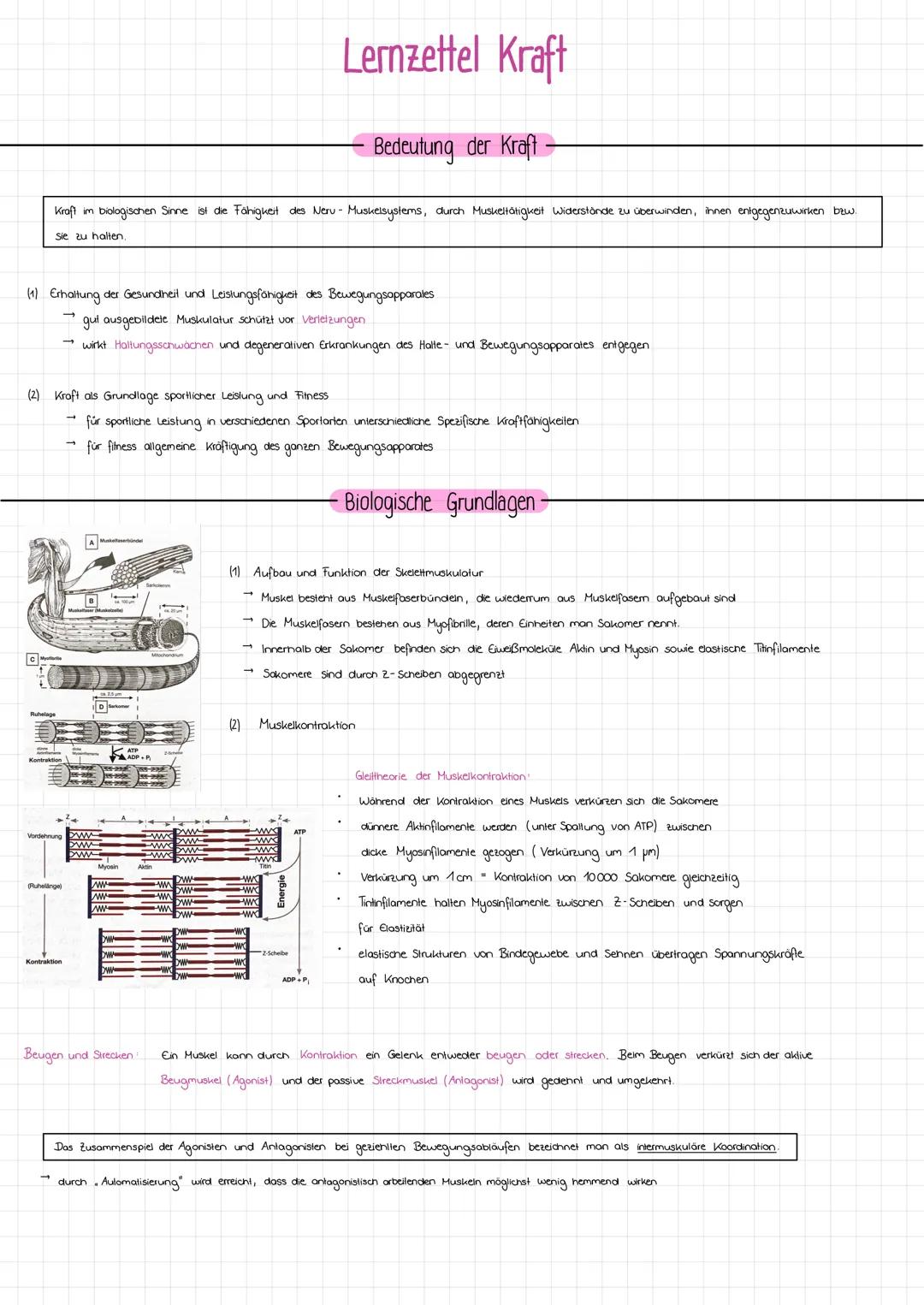 # Lernzettel Kraft
- Bedeutung der Kraft -
Kraft im biologischen Sinne ist die Fähigkeit des Nerv- Muskelsystems, durch Muskelaktivität Wi