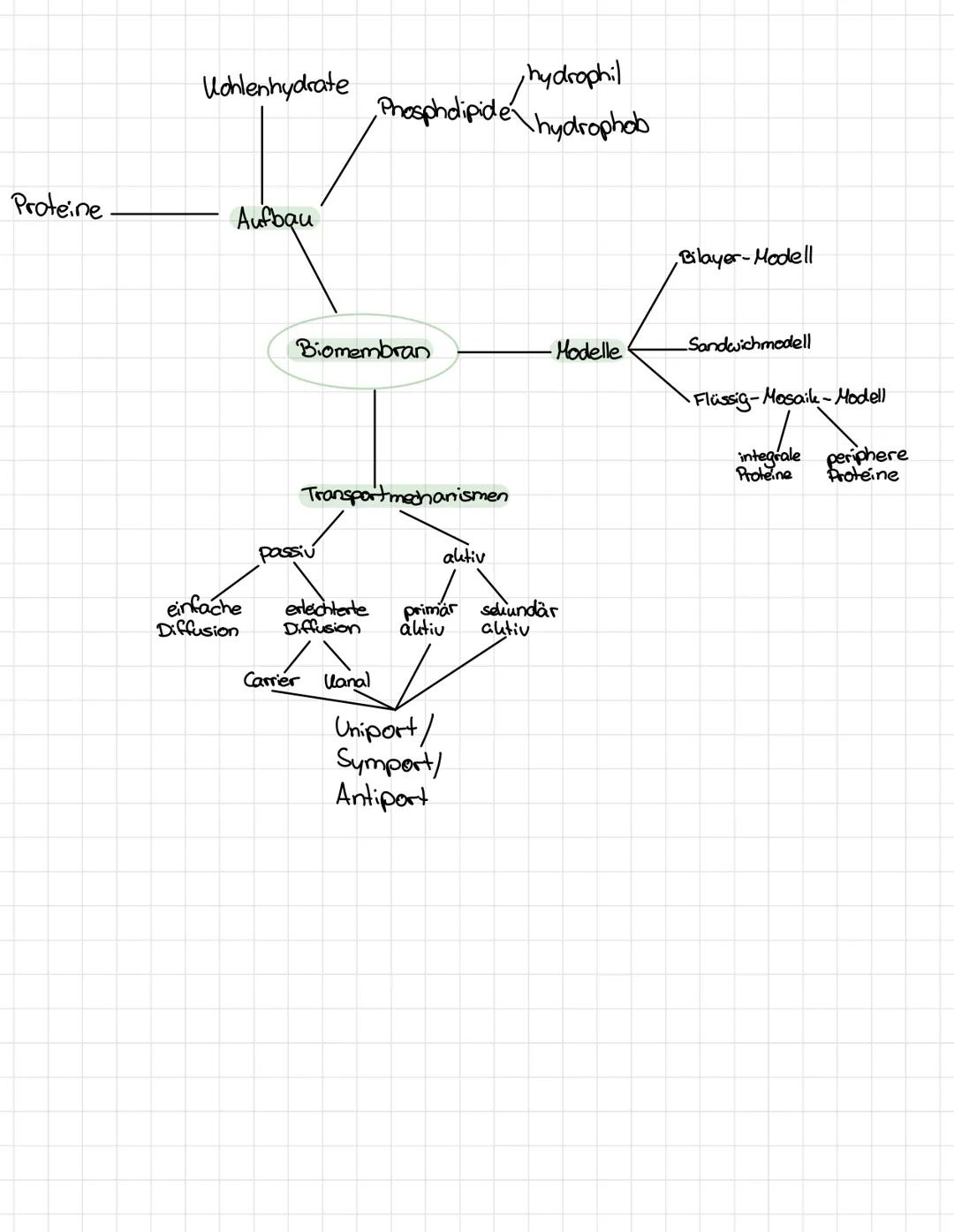 # Bio Klausur
Aufbau Biomembran:
besteht aus Lipiden (Fetten) und Proteinen (Eiweiße) und
Wohlenhydraten
Modelle:
2. Bilayer-Modell (GORT