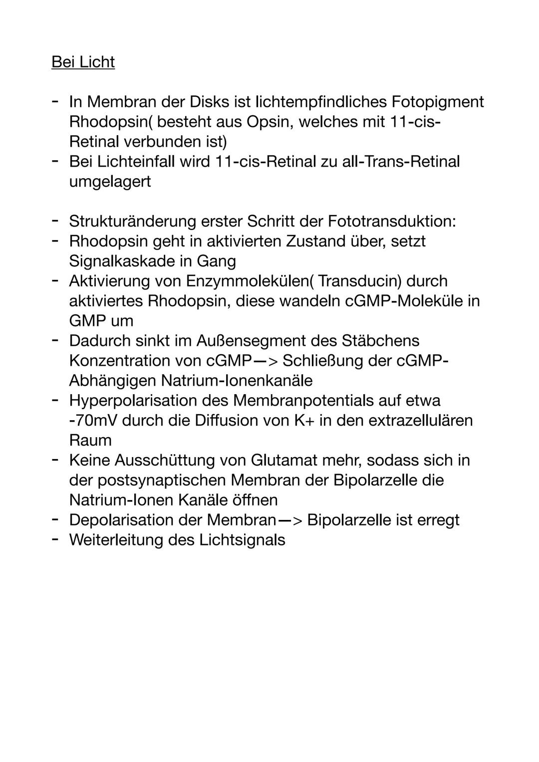 Signaltransduktion
in der Netzhaut:
Umwandlung von Lichtreizen in elektrische Erregung
- Stäbchen stellen die
Rezeptorzellen für das
eintref