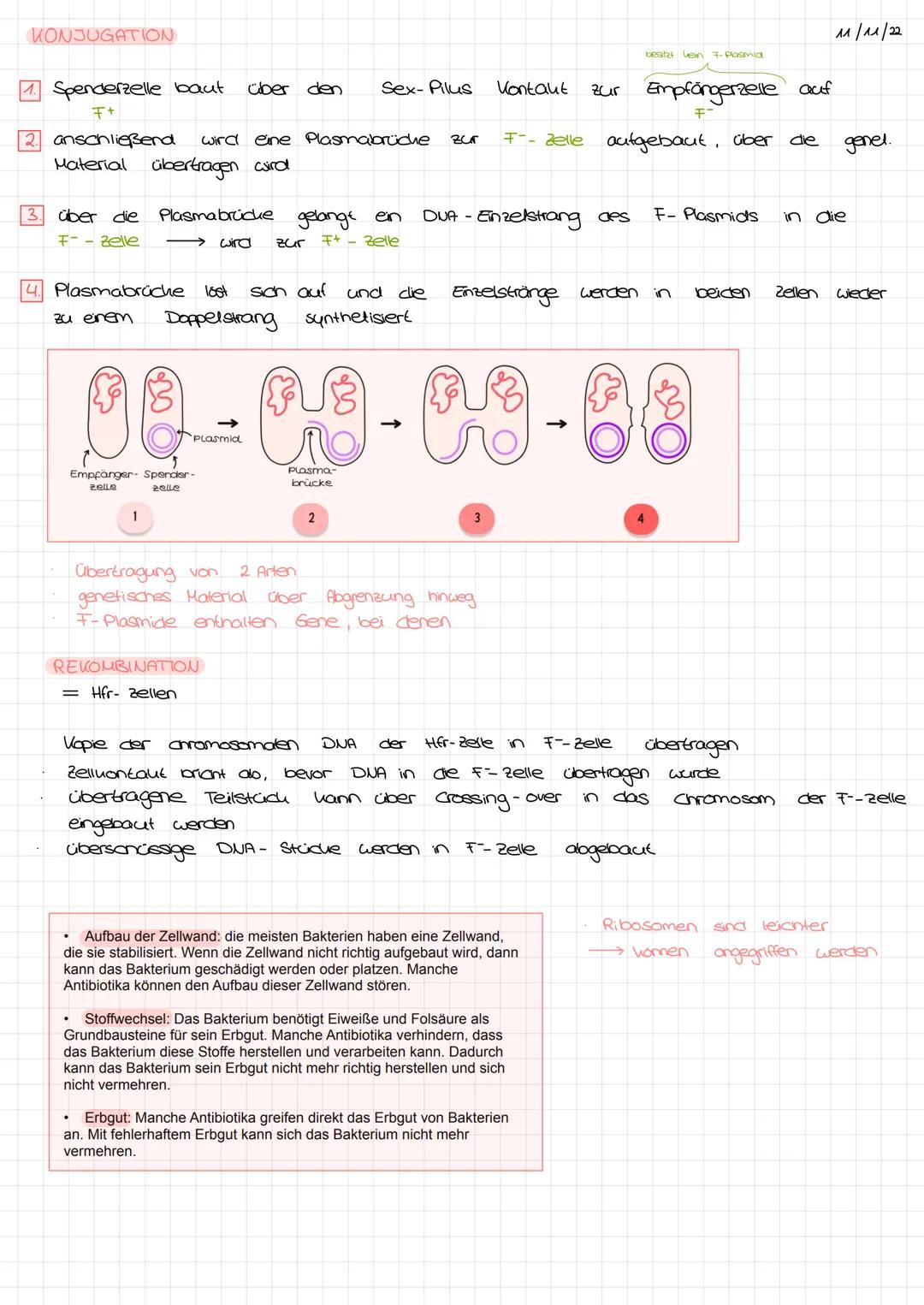 # ANTIBIOTIΚΑ
Hemmung der
RNA-Polymerase:
* Rifampicin
Wirkmechanismen
Hemmung der DNA-Synthese:
* Fluorochinolone
Resistenzmechanismen