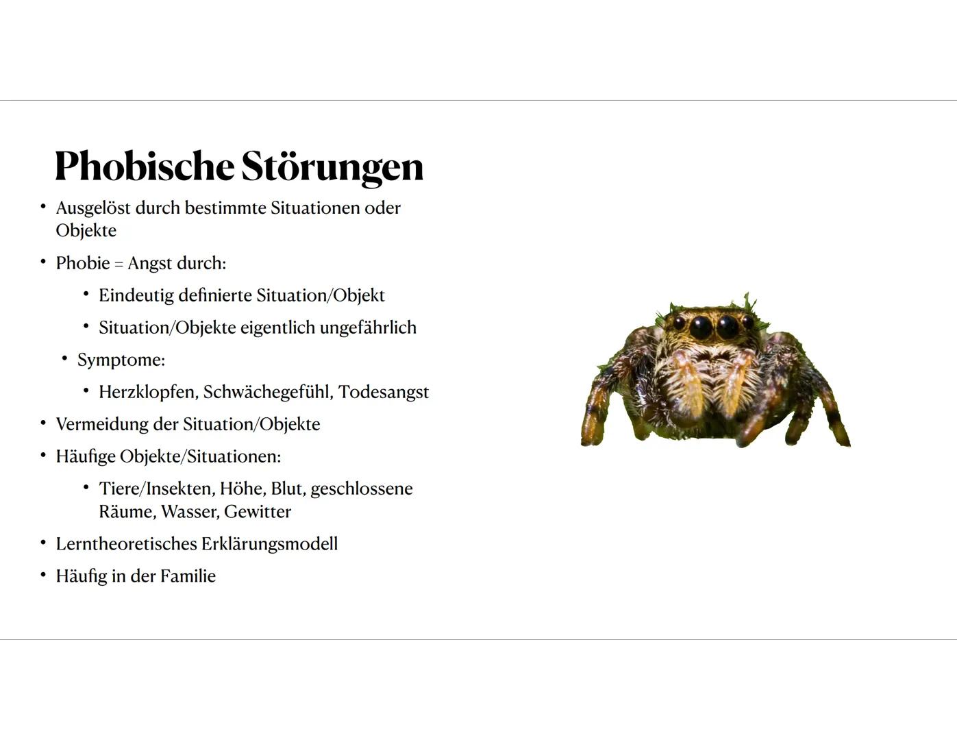 Angststörungen
Gruppe:
Präsentiert am Gliederung
Zum Thema: Angststörungen
1. Vorstellung des Themas
1.1 Was ist eine Angststörung überhaupt