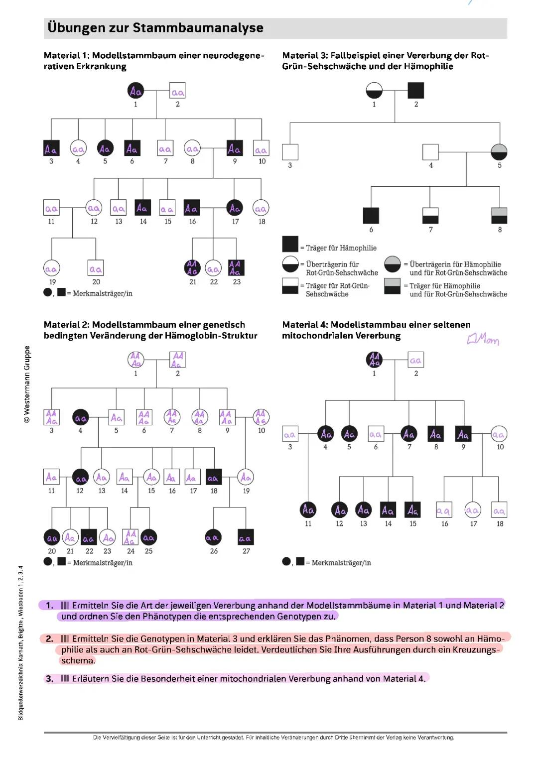 Übungen zur Stammbaumanalyse