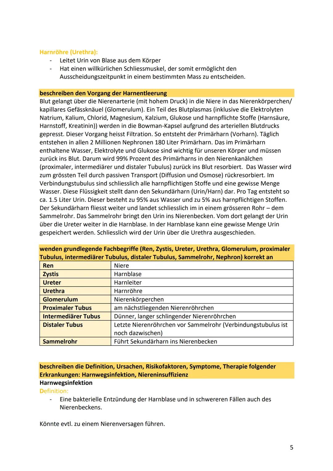 # Nieren/Harnproduktion und
Ausscheidung
beschreiben die Anatomie und Physiologie der Nieren
Nierenmark
viele kleine Kanälchen 99% des
fil