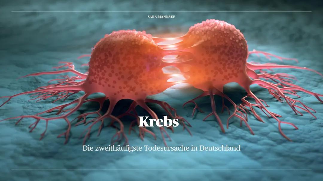 Krebs