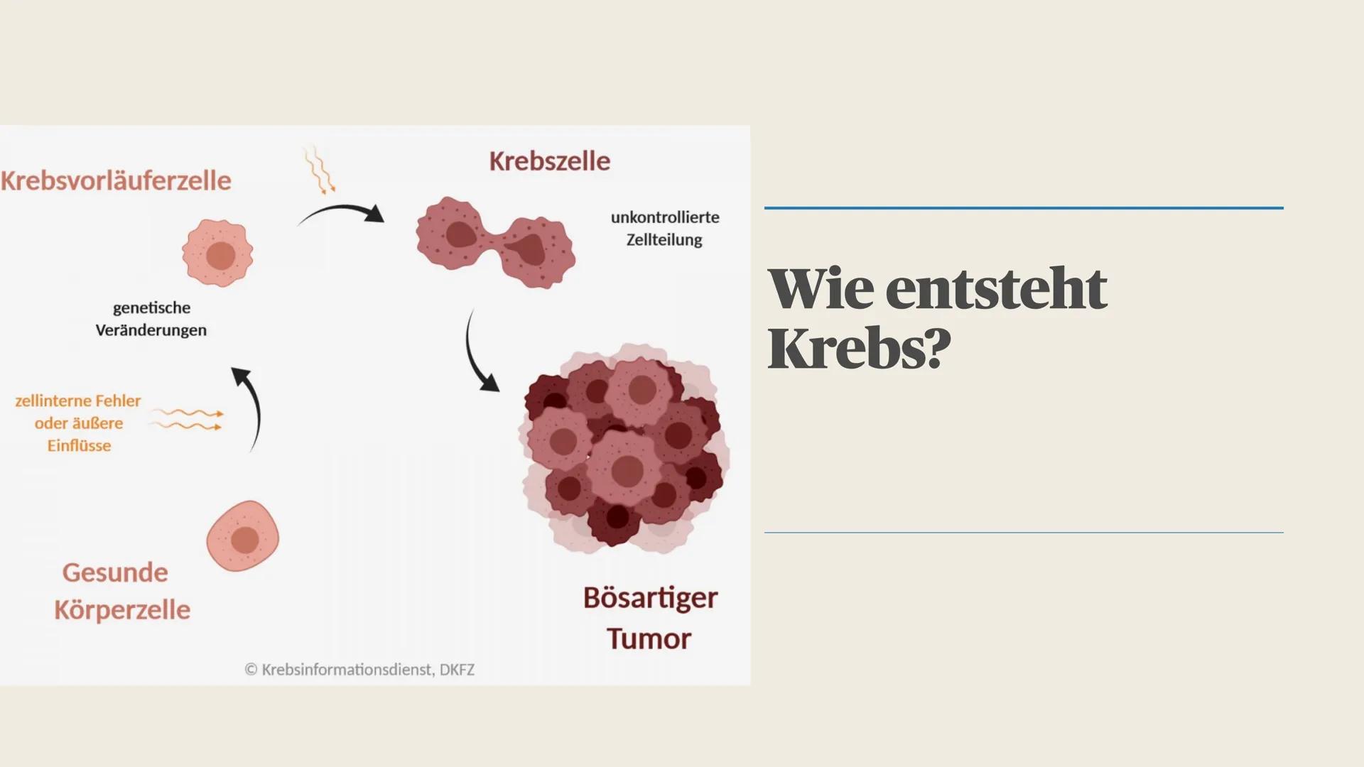 SARA MANNAEE
Krebs
Die zweithäufigste Todesursache in Deutschland ● Was ist Krebs?
● Wie entsteht Krebs?
Allgemeine Symptome
● Ursachen
●
●