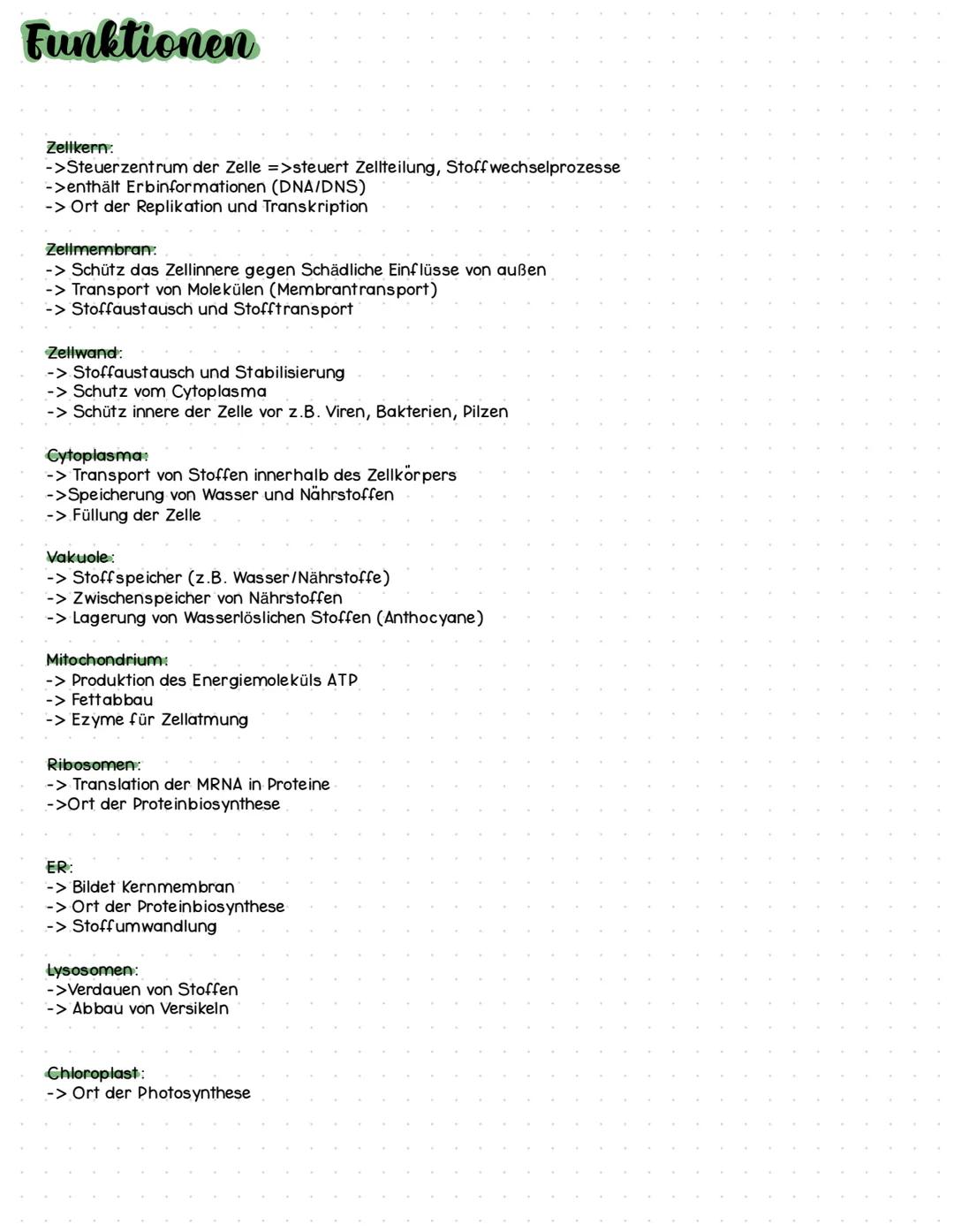 Lysomen
Glattes ER
Tierzelle
Mitochondrien
Cytoplasma
Freie-Ribosomen
Zentriole
Ribosomen
Zellmembran
Mitochondrien
Cytoplasma
O
Zelltyp: Eu