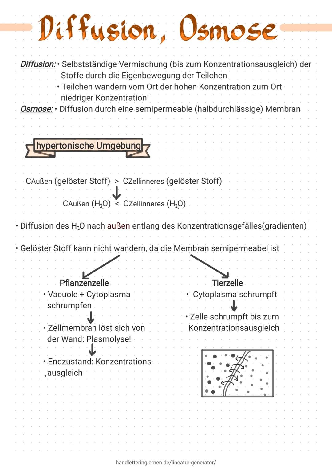 # Diffusion, Osmose
Diffusion: Selbstständige Vermischung (bis zum Konzentrationsausgleich) der
Stoffe durch die Eigenbewegung der Teilchen