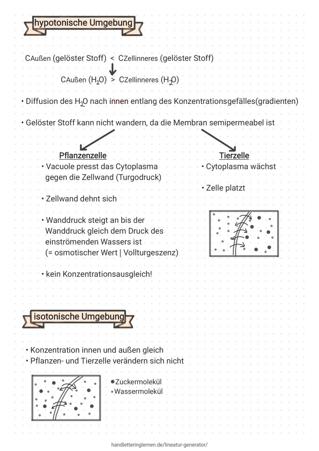 # Diffusion, Osmose
Diffusion: Selbstständige Vermischung (bis zum Konzentrationsausgleich) der
Stoffe durch die Eigenbewegung der Teilchen