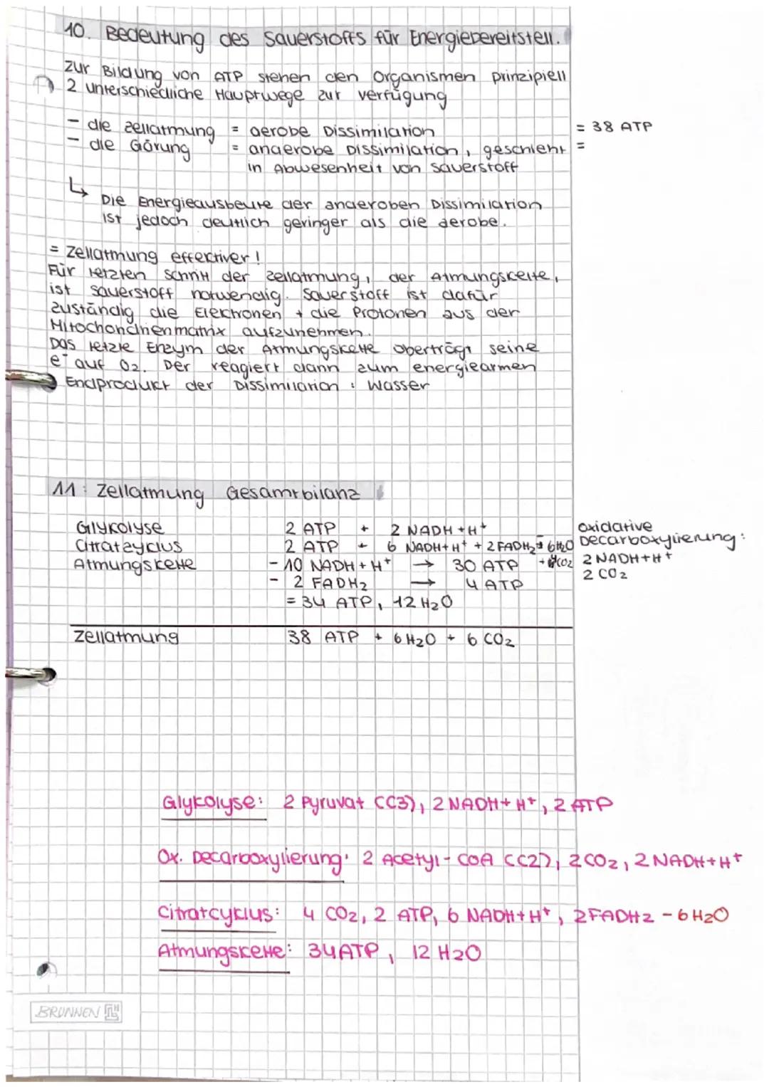 Dissimilation/
Energiestoffwechsel
ABITUR Dissimilation
1. Fachbegriffe zum Energiestoffwechsel erklären
• Dissimilation
· Reduktions-
aquiv