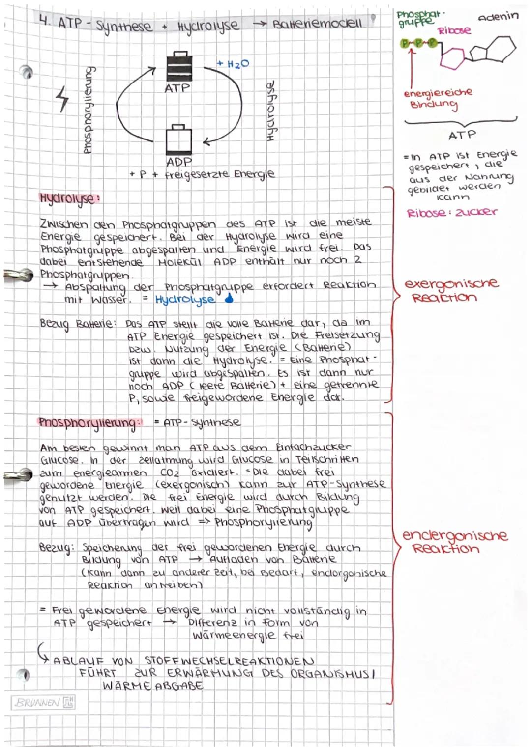 Dissimilation/
Energiestoffwechsel
ABITUR Dissimilation
1. Fachbegriffe zum Energiestoffwechsel erklären
• Dissimilation
· Reduktions-
aquiv