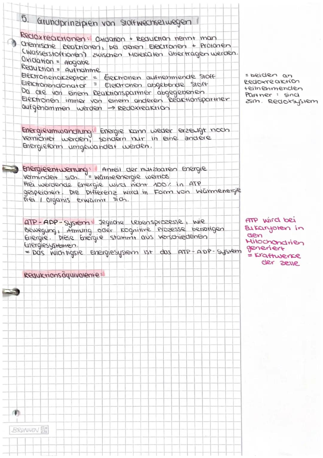 Dissimilation/
Energiestoffwechsel
ABITUR Dissimilation
1. Fachbegriffe zum Energiestoffwechsel erklären
• Dissimilation
· Reduktions-
aquiv