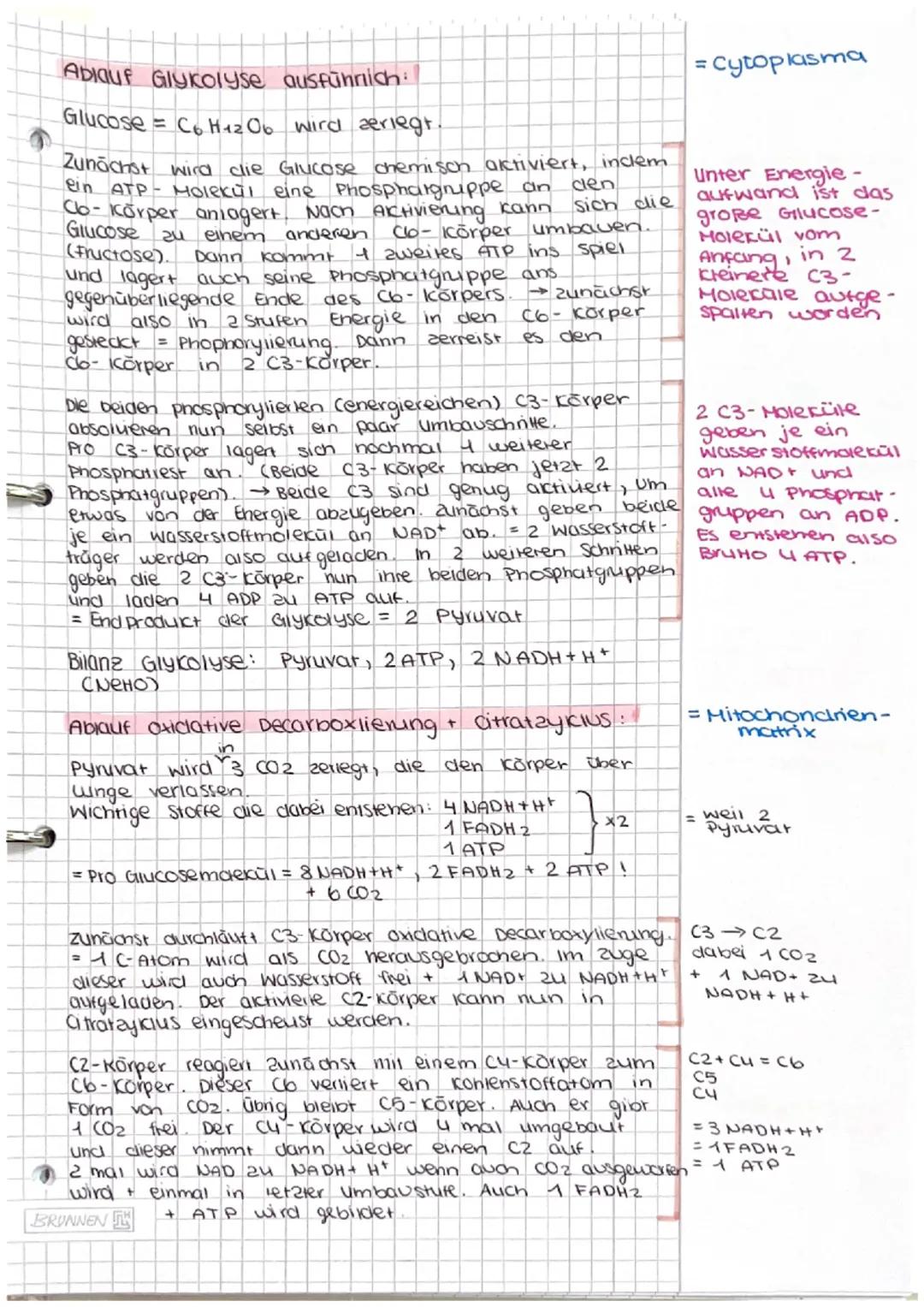 Dissimilation/
Energiestoffwechsel
ABITUR Dissimilation
1. Fachbegriffe zum Energiestoffwechsel erklären
• Dissimilation
· Reduktions-
aquiv