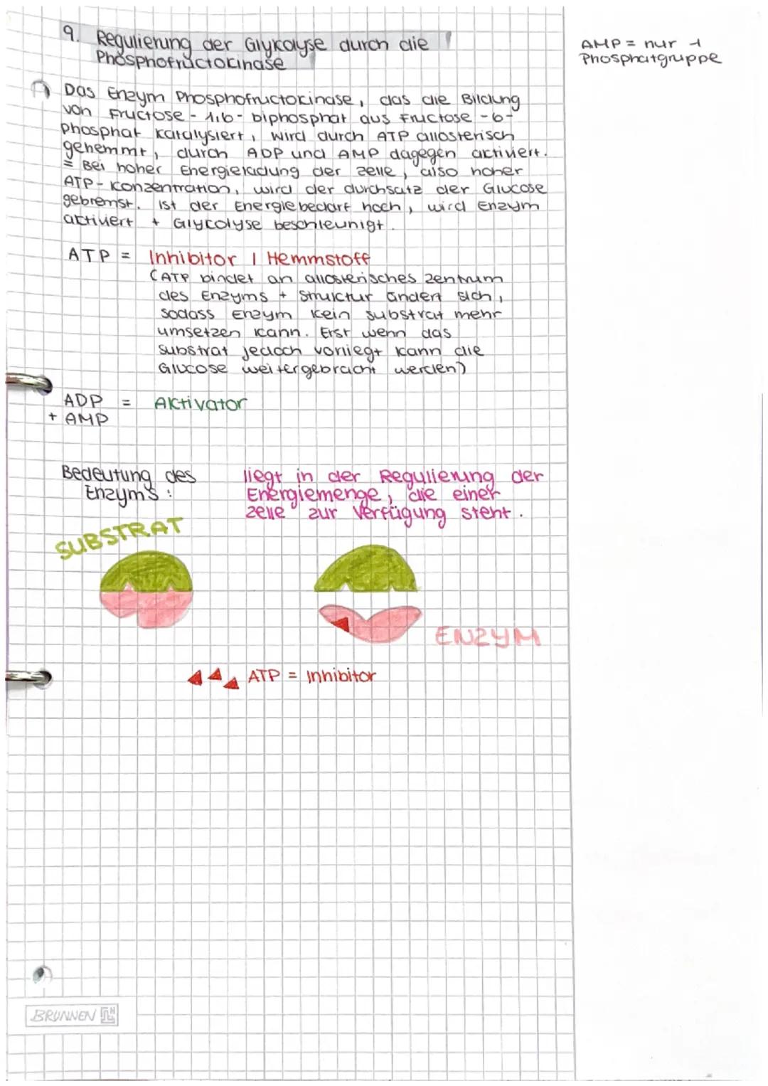 Dissimilation/
Energiestoffwechsel
ABITUR Dissimilation
1. Fachbegriffe zum Energiestoffwechsel erklären
• Dissimilation
· Reduktions-
aquiv