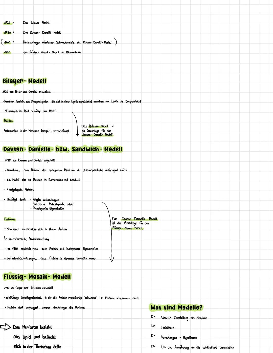 1925
1936:
(1960:
1972:
Das Bilayer Modell
Das Davson- Danelli - Modell
Bilayer-Modell
Unterschlungen offenbaren Schwachpunkde des Dauson-Da
