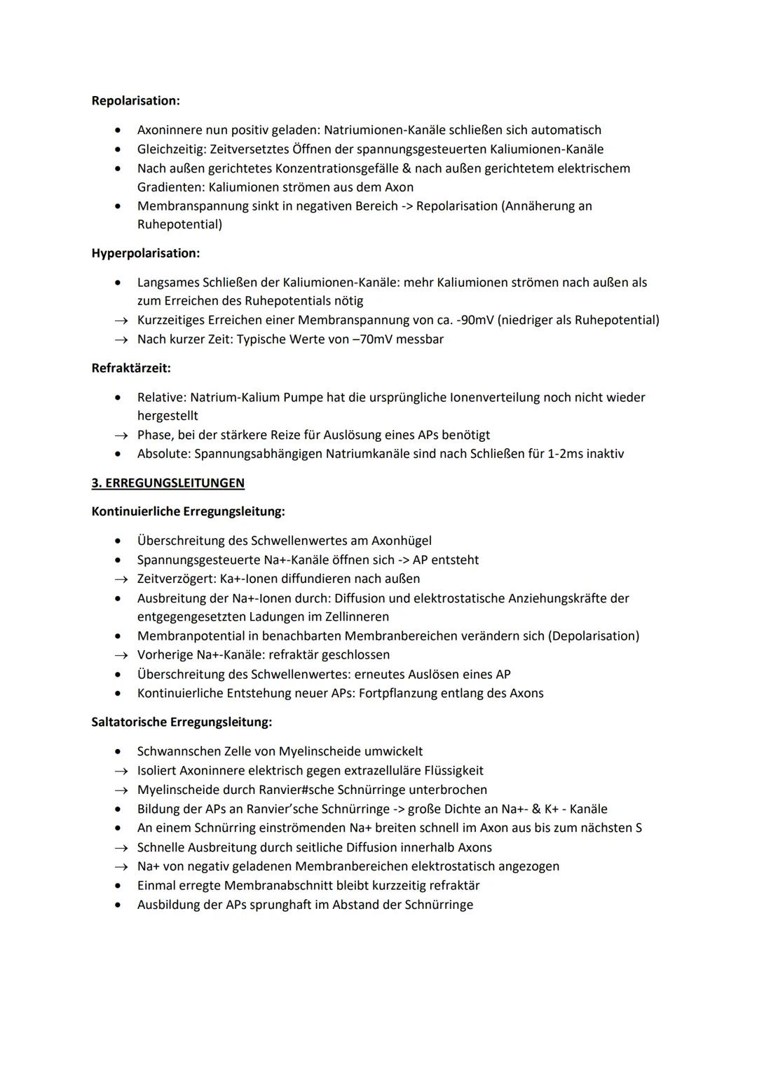 1. RUHEMEMBRANPOTENTIAL
An Zellmembran jeder Nerven-/Muskelzelle: Elektrische Spannung (Membranpotential)
Bei Zelle im ruhenden Zustand: Ruh