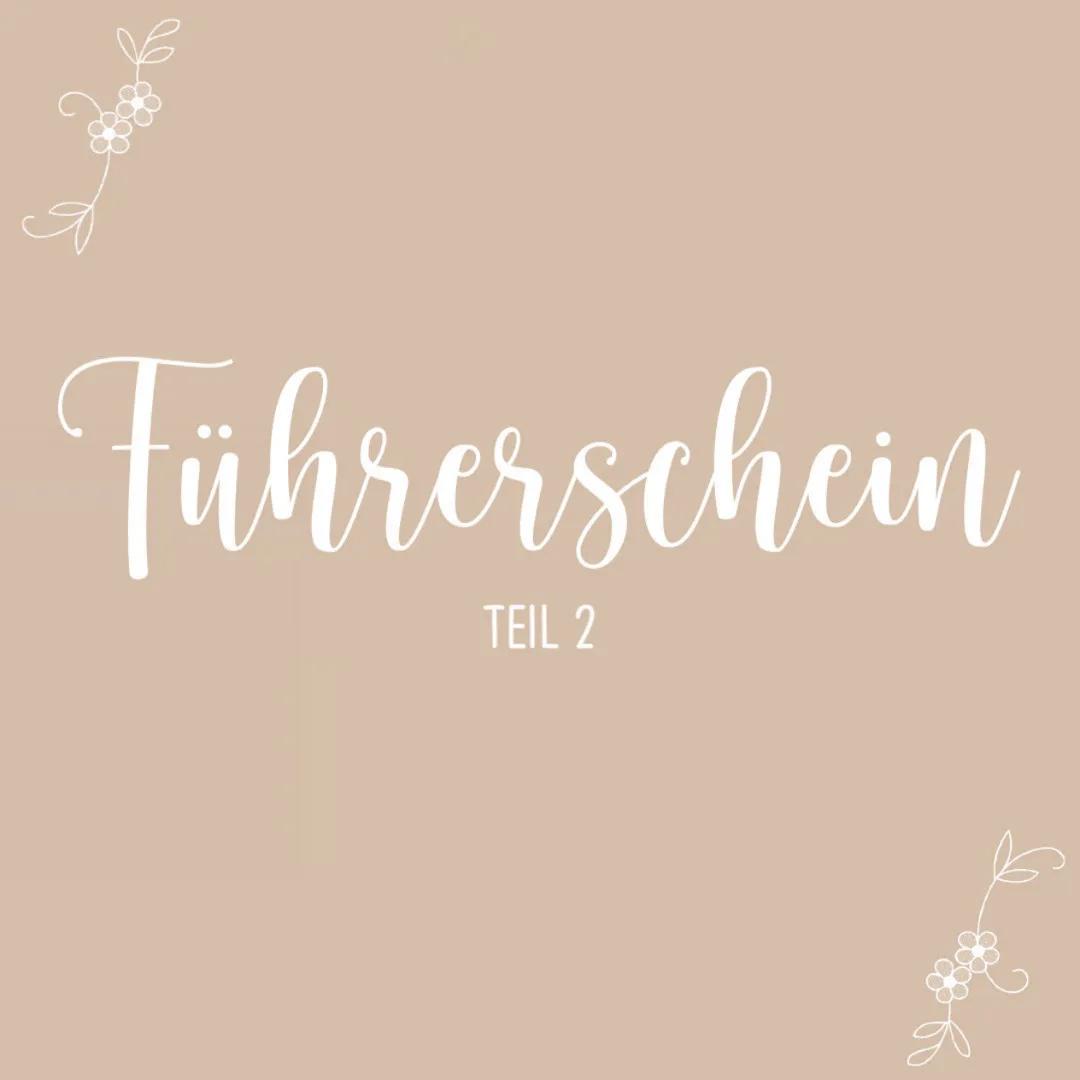 Führerschein
TEIL 2 Die Praxis
Je nach Fahrschule variiert die Länge der Fahrstunden.
Bei meiner Fahrschule ging eine normale Fahrstunde
imm