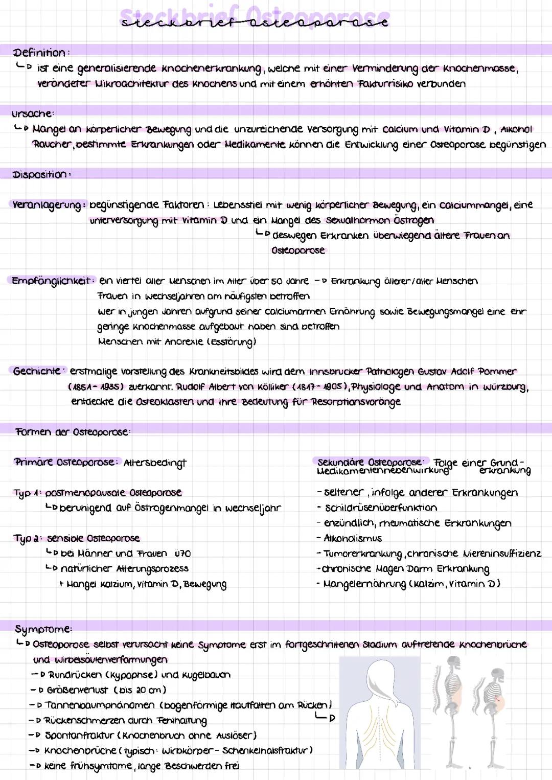 Steckbrief Osteoporose