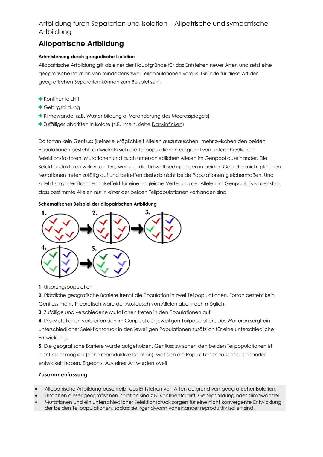 # Artbildung furch Separation und Isolation - Allpatrische und sympatrische
Artbildung
# Allopatrische Artbildung
Artentstehung durch geog