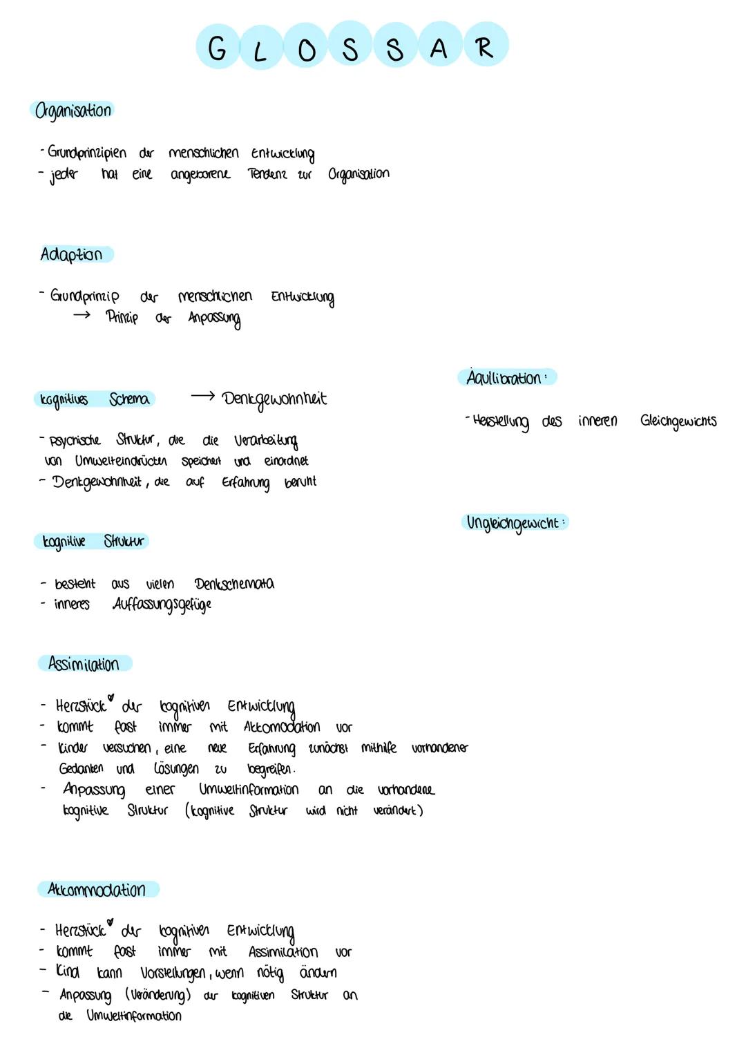 Kognitive Entwicklung