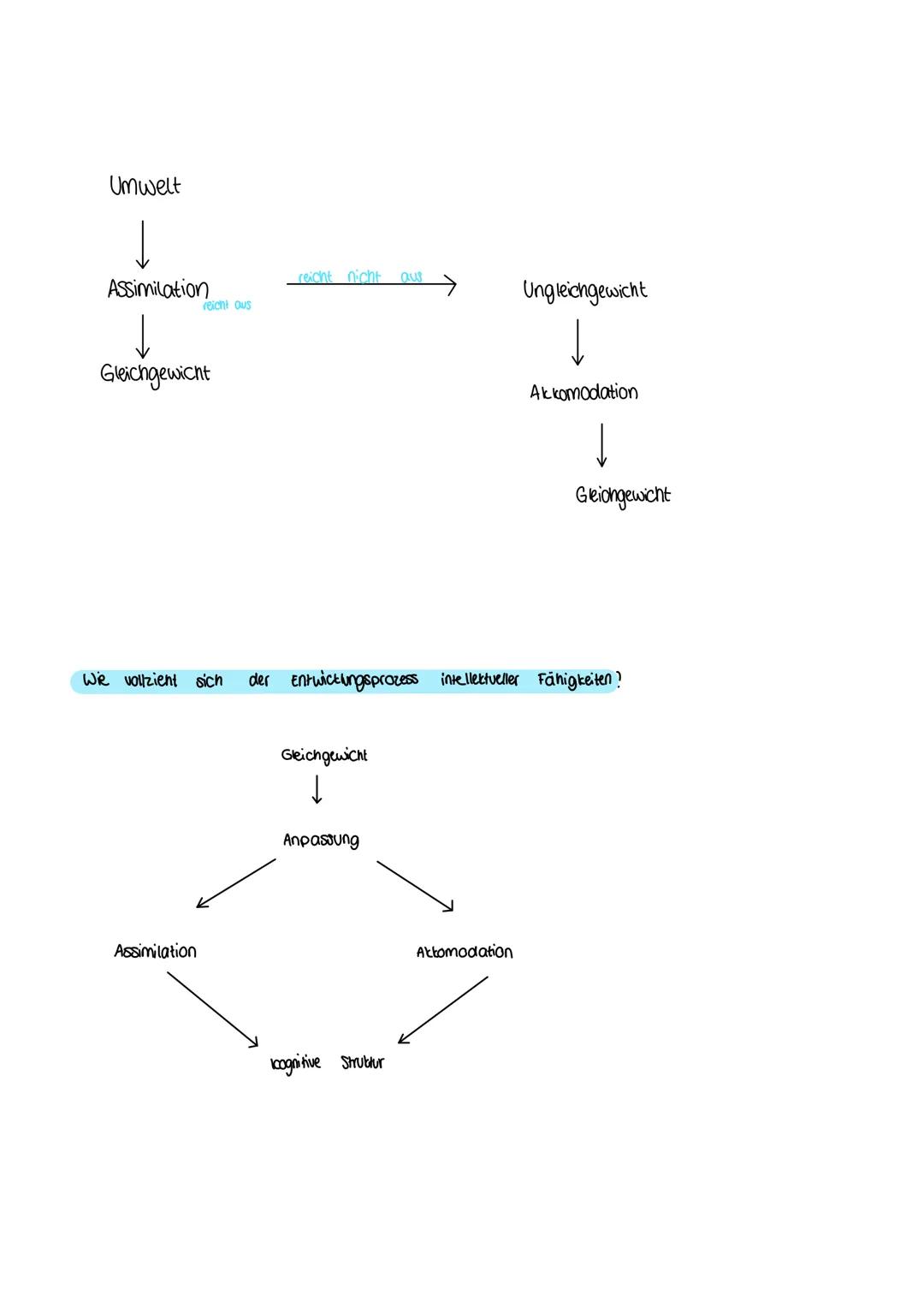 # GLOSSAR
Organisation
-Grundprinzipien der menschlichen Entwicklung
- jeder hat eine angeborene Tendenz zur Organisation
Adaption
- Gru