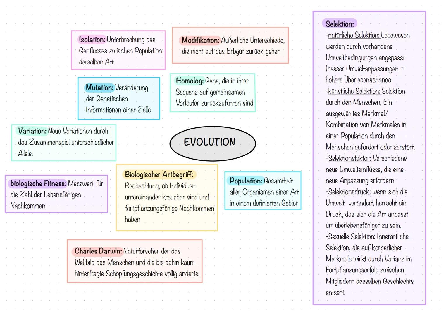 Selektion:
Isolation: Unterbrechung des
Genflusses zwischen Population
derselben Art
Mutation: Veränderung
der Genetischen
Informationen e