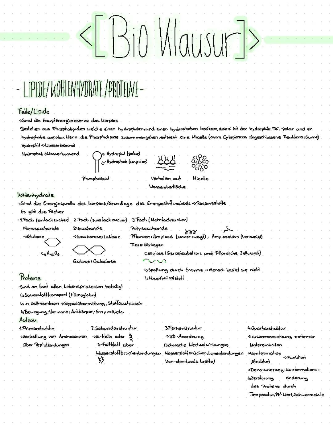 Lipide Kohlenhydrate und Proteine Biologie