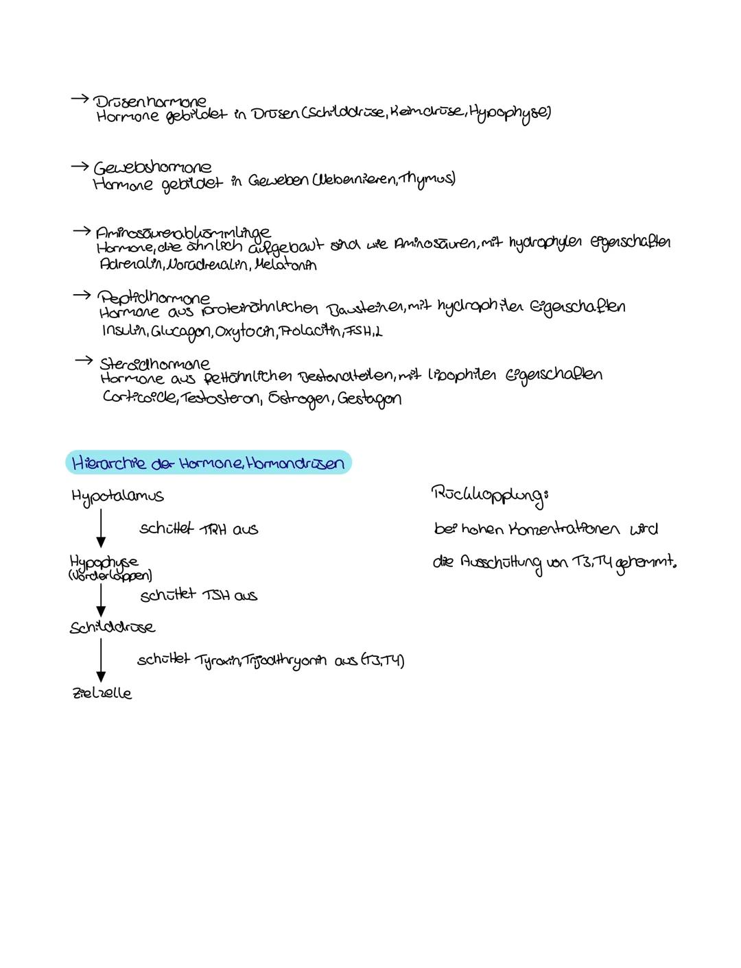 Biologie
Thema: Hormone
Verbindung zwischen feverone thomonashem Nervensysthem
endokrines systhem neuronales systhem
Botenstoffe Produkti