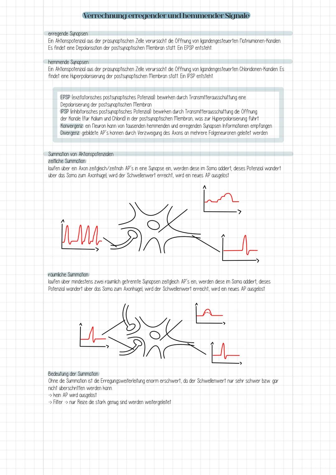 Verrechnung erregender und hemmender Synapsen