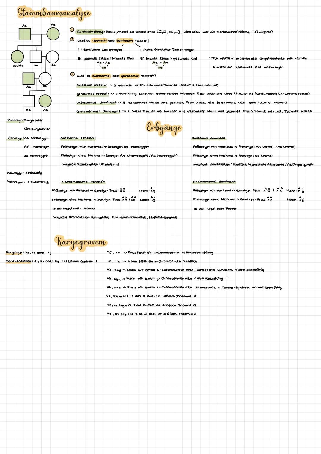 23 Chromosomenpaare
Chromosomen
me
2 Gonosome
generell
Genetik
homologe Chromosomen
Chromatid
-Gen H
Ooginese
Chromosomenarm
diplaide
Z