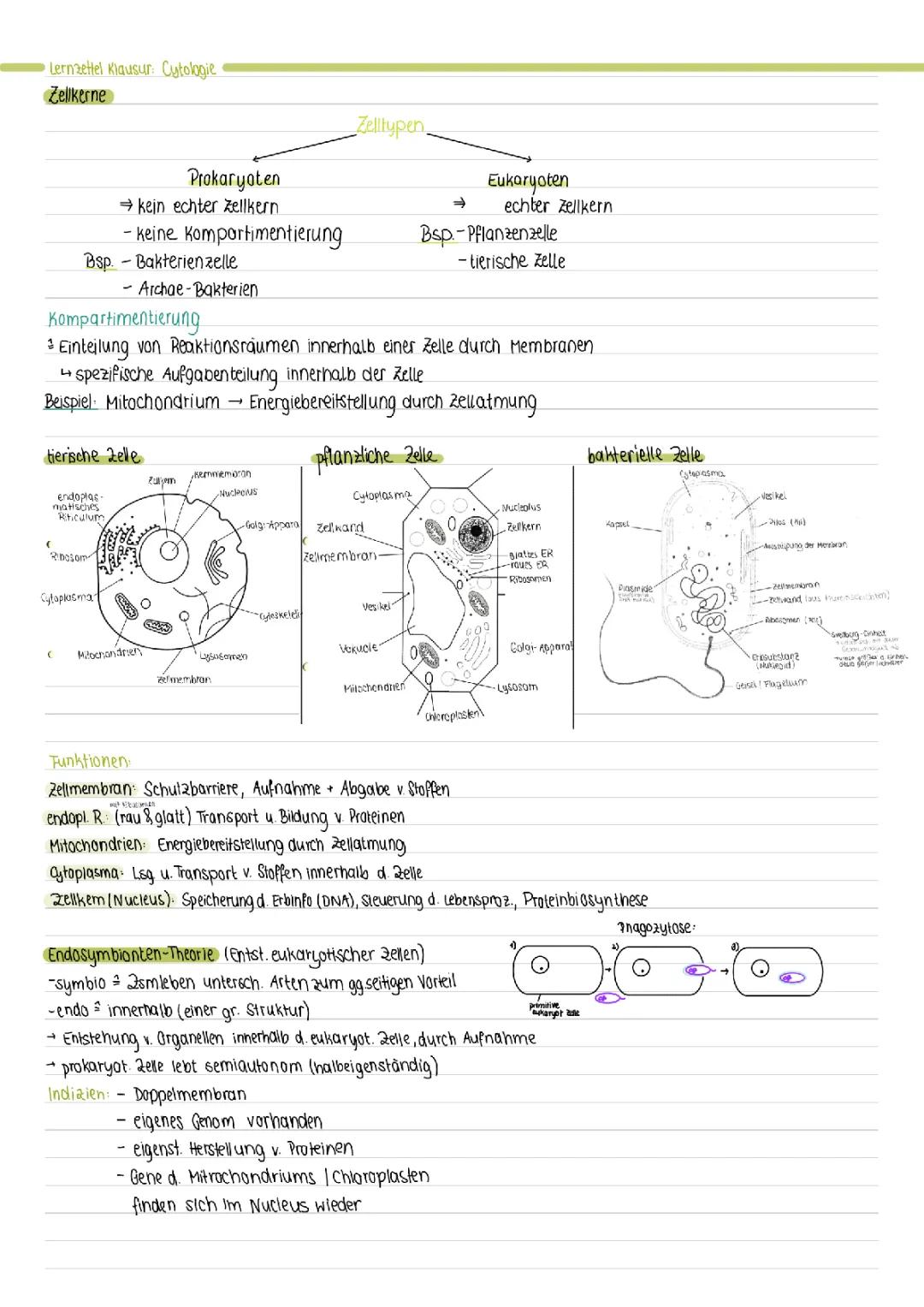 Zusammenfassung Cytologie