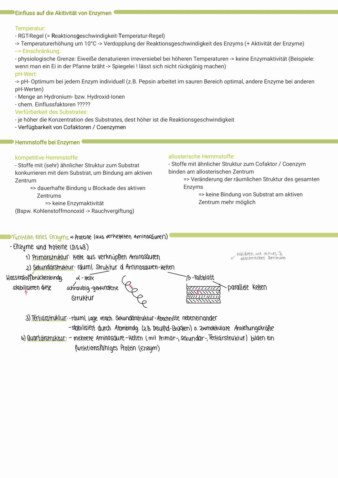 Lernzettel Klausur: Cytologie
Zellkerne
Bsp. Bakterienzelle
endoplas-
matisches
Riticulum
(
tierische Zelle
Prokaryoten
kein echter Zellkern