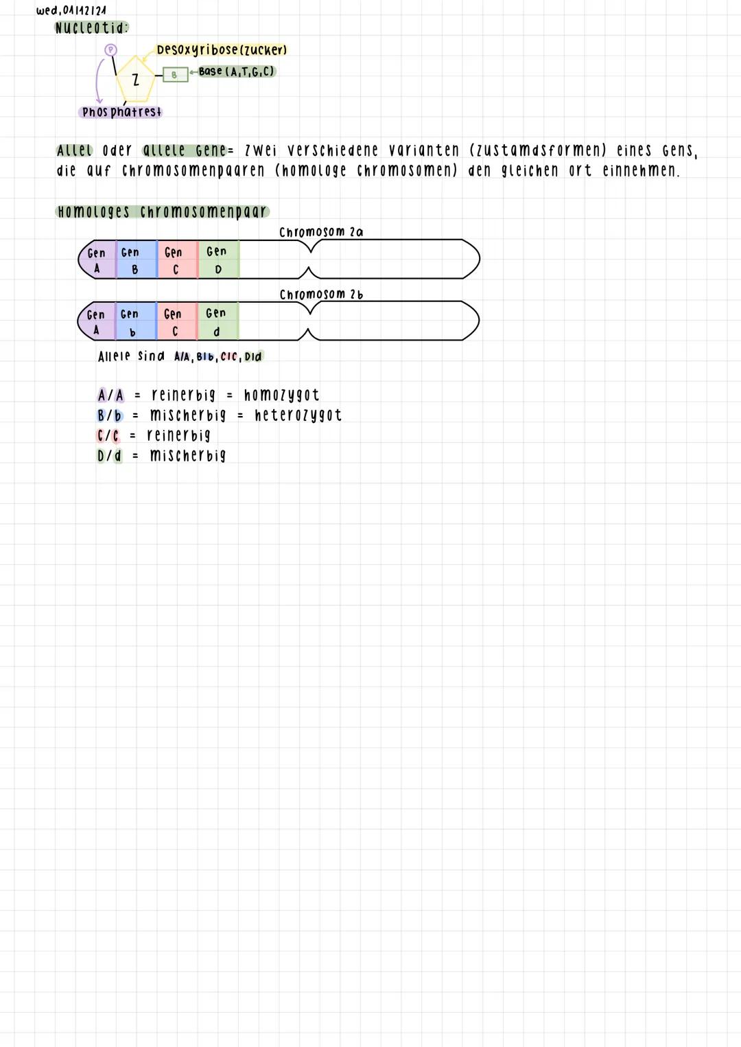 Wed, 22/AA/202A
Wiederholung
Planzliche Zelle Bestandteile
1. GOLgi Apparat
2.Zellplasma (Cytoplasma)
3. Endoplasmatisches Reticulum - glatt