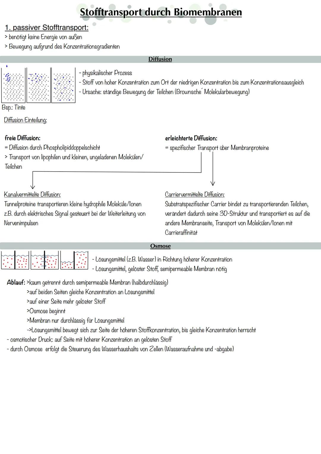 # Biomembran in der Zelle
= grundsätzlich Strukturelemente der Zellen, die sie in eine Vielzahl von Reaktionsräumen gliedern
= Trennschich