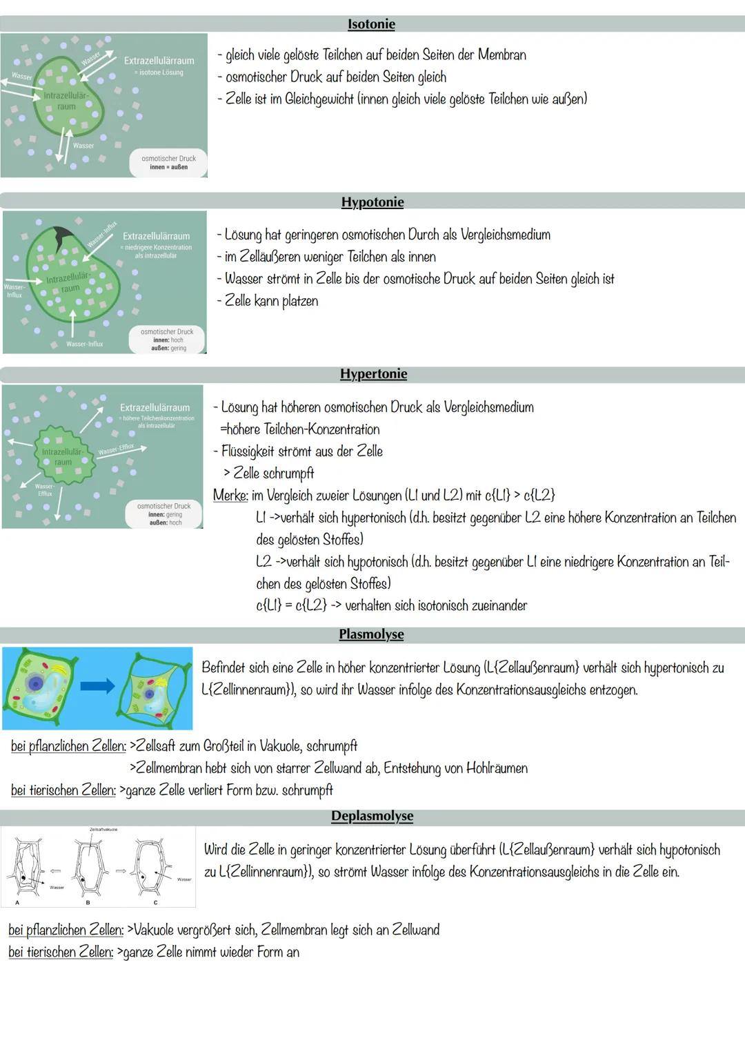 # Biomembran in der Zelle
= grundsätzlich Strukturelemente der Zellen, die sie in eine Vielzahl von Reaktionsräumen gliedern
= Trennschich
