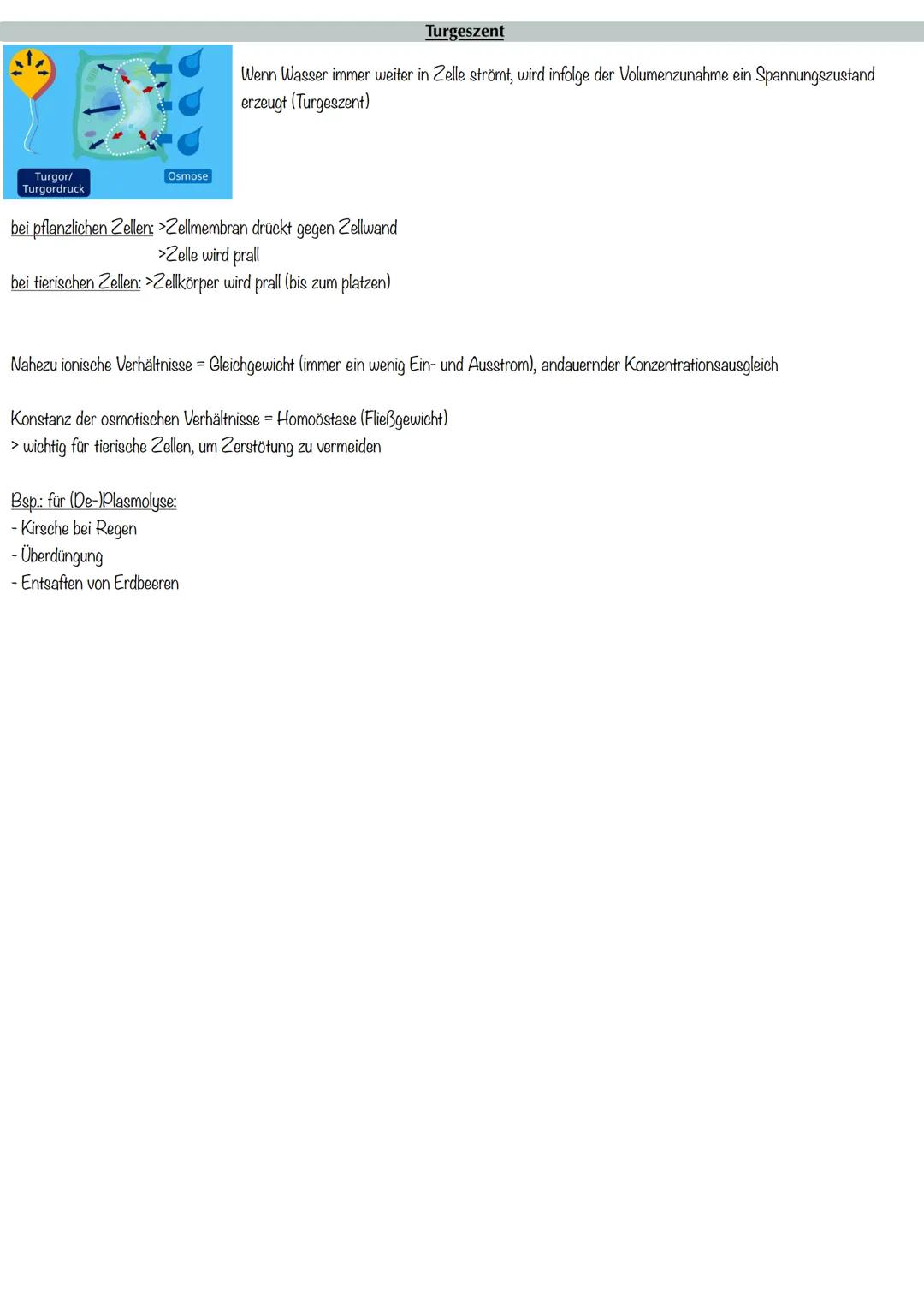 # Biomembran in der Zelle
= grundsätzlich Strukturelemente der Zellen, die sie in eine Vielzahl von Reaktionsräumen gliedern
= Trennschich