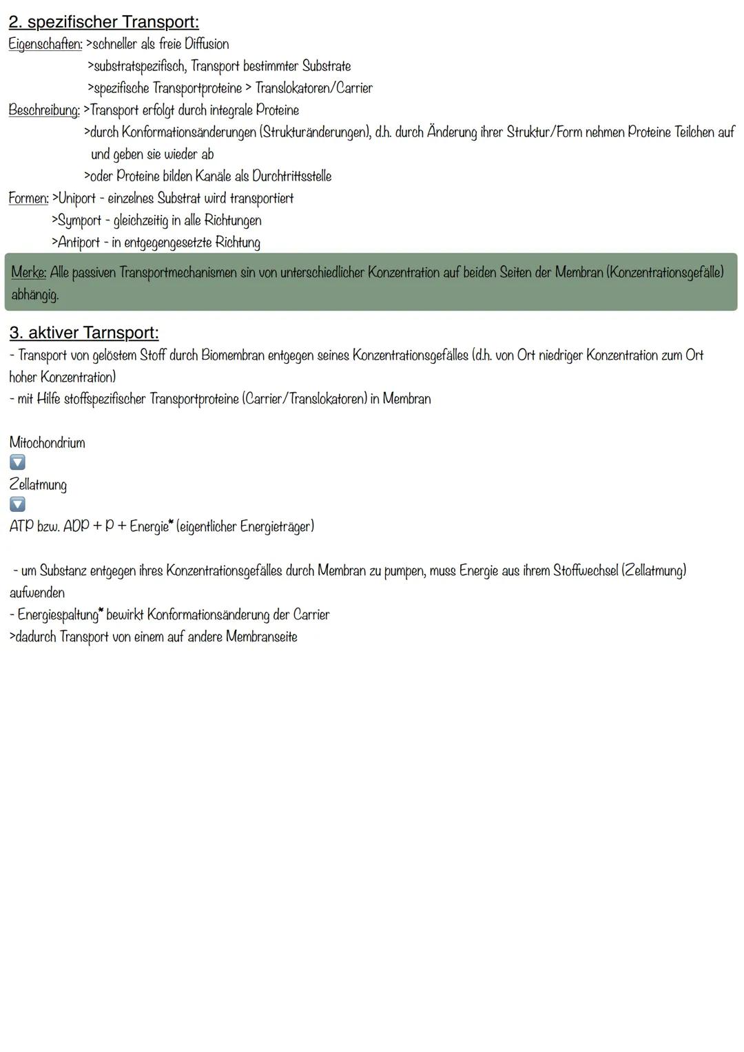 # Biomembran in der Zelle
= grundsätzlich Strukturelemente der Zellen, die sie in eine Vielzahl von Reaktionsräumen gliedern
= Trennschich