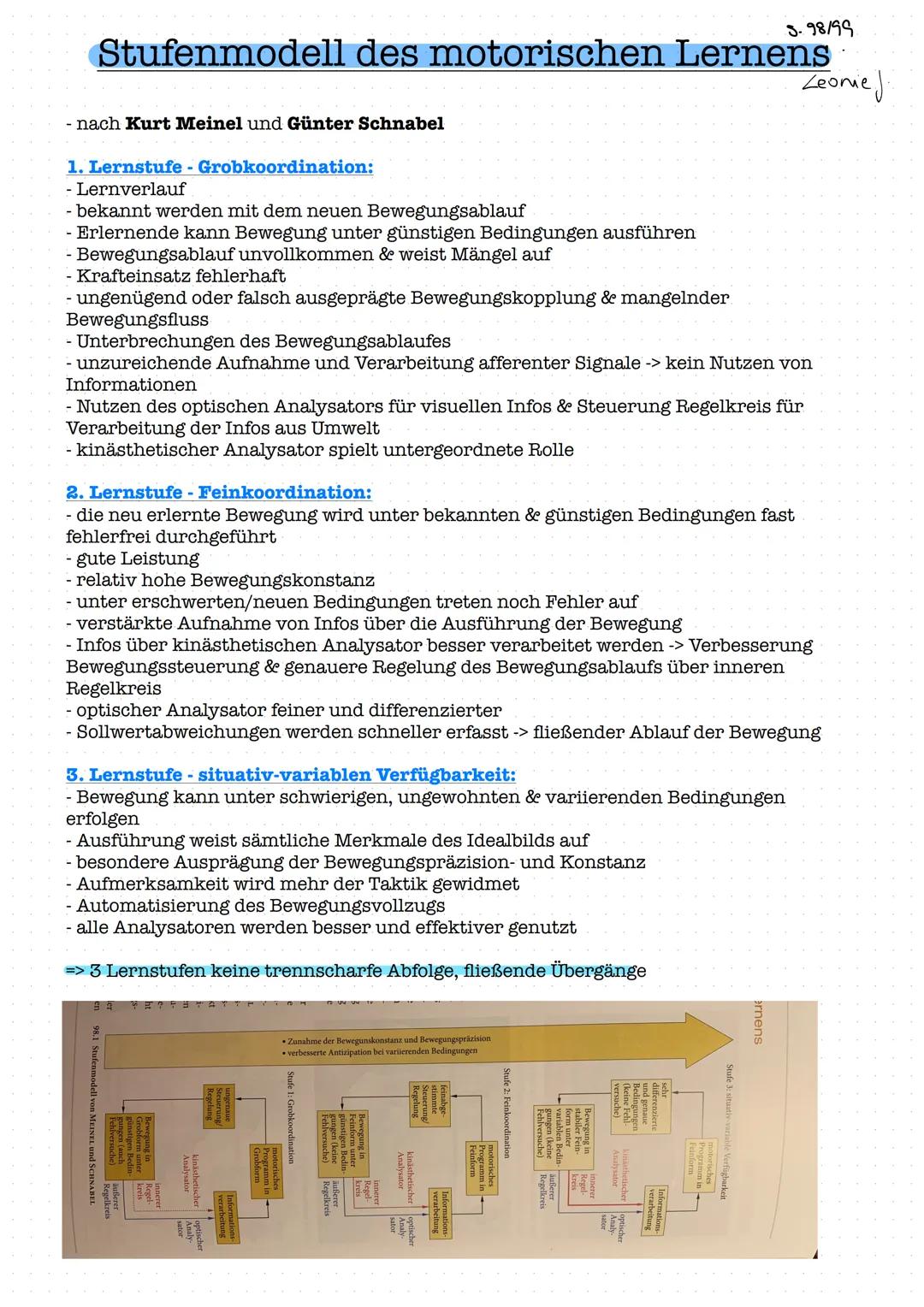 Stufenmodell des motorischen Lernens
- nach Kurt Meinel und Günter Schnabel
1. Lernstufe - Grobkoordination:
- Lernverlauf
- bekannt werden