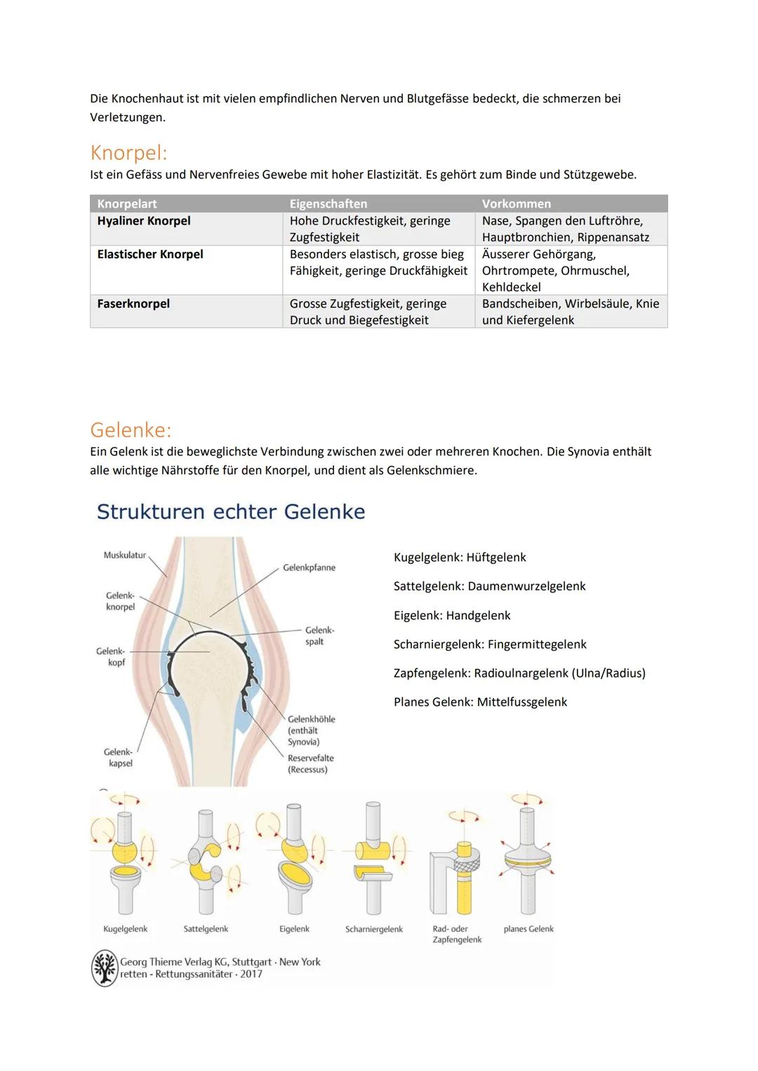Handlungskompetenz B.2
BEWEGUNGSAPPARAT/MOBILITÄT
Skelett:
Der Bewegungsapparat des Menschen wird in das passive und aktive Bewegungssystem