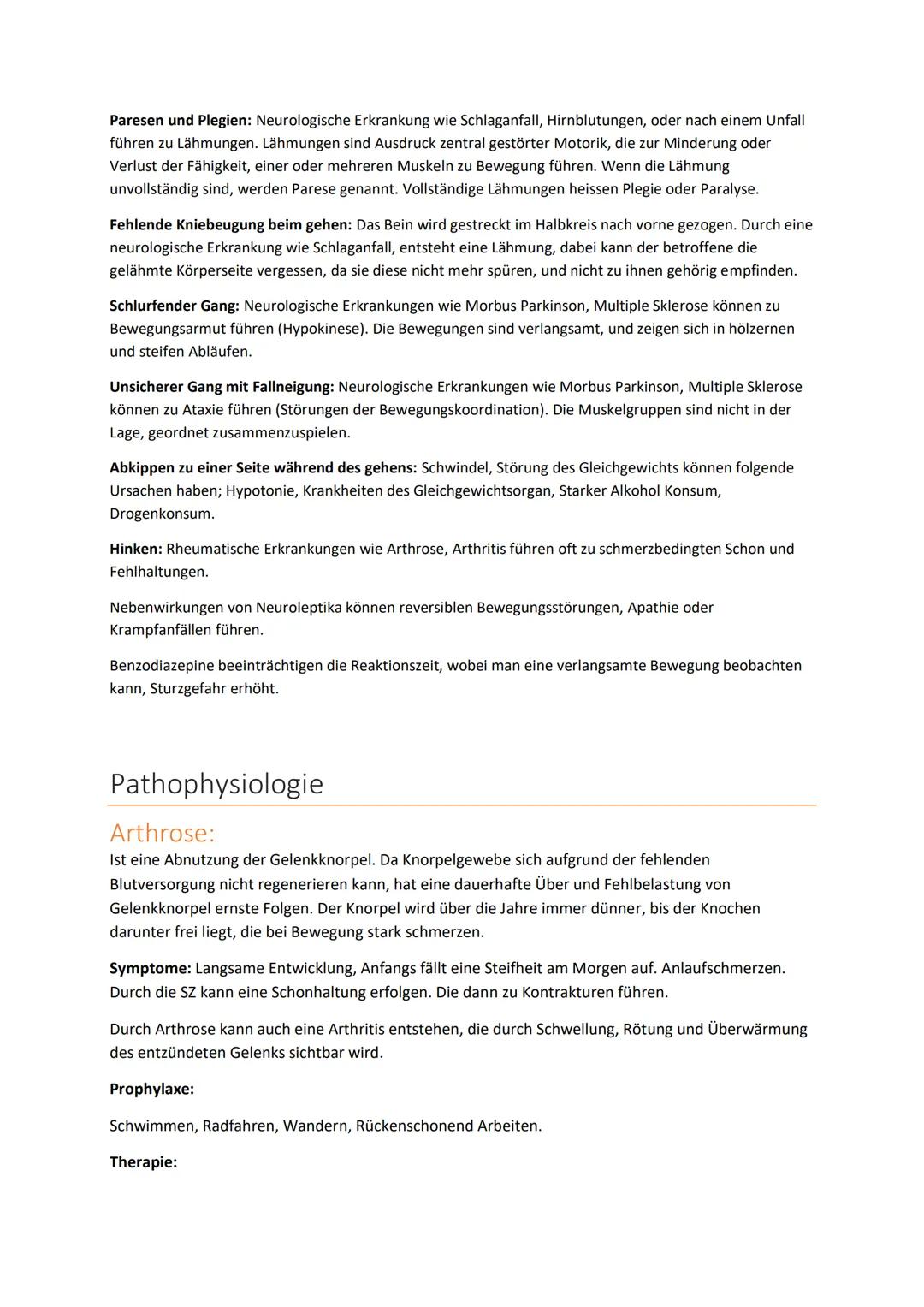 Handlungskompetenz B.2
BEWEGUNGSAPPARAT/MOBILITÄT
Skelett:
Der Bewegungsapparat des Menschen wird in das passive und aktive Bewegungssystem