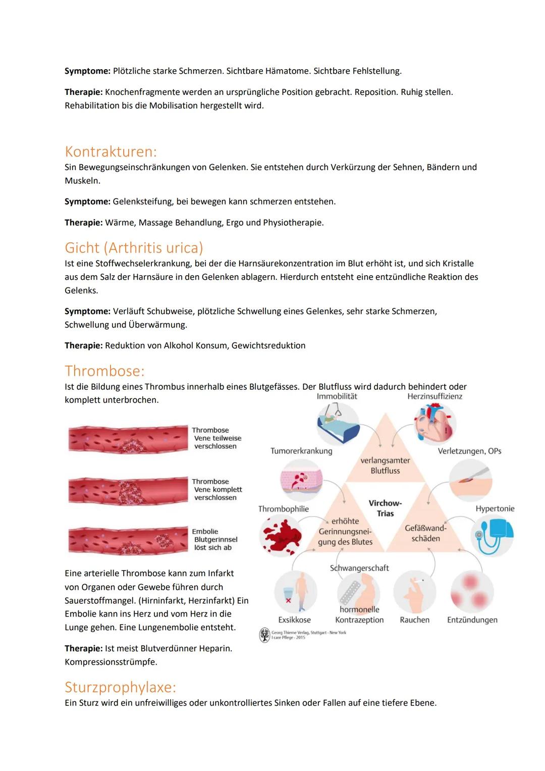 Handlungskompetenz B.2
BEWEGUNGSAPPARAT/MOBILITÄT
Skelett:
Der Bewegungsapparat des Menschen wird in das passive und aktive Bewegungssystem