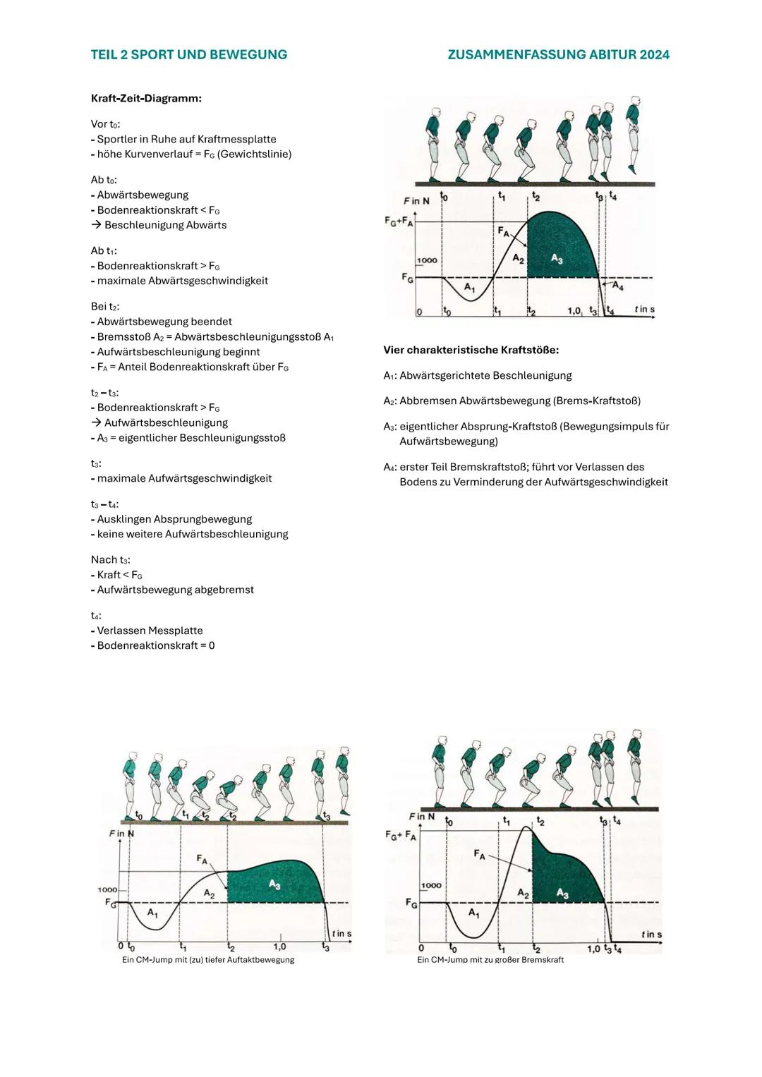 TEIL 2 SPORT UND BEWEGUNG
ZUSAMMENFASSUNG ABITUR 2024
# 4. SPORTLICHE BEWEGUNGEN BIOMECHANISCH
## ANALYSIEREN
### 4.1 GRUNDLEGENDE BEWEGUN